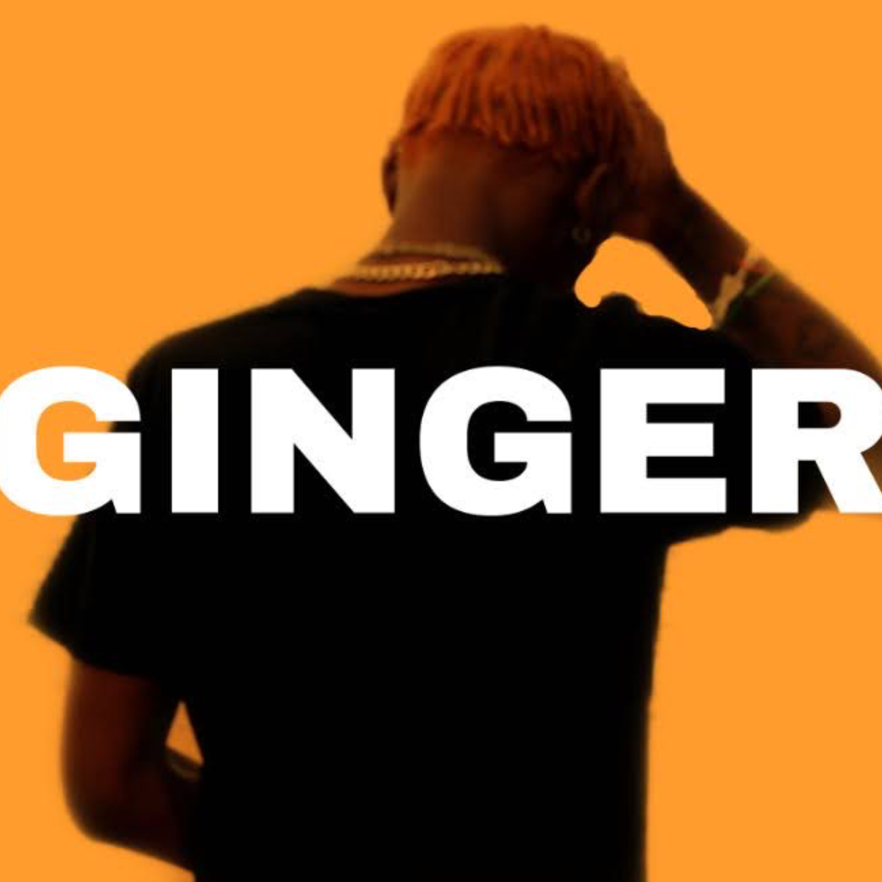 GINGER artwork