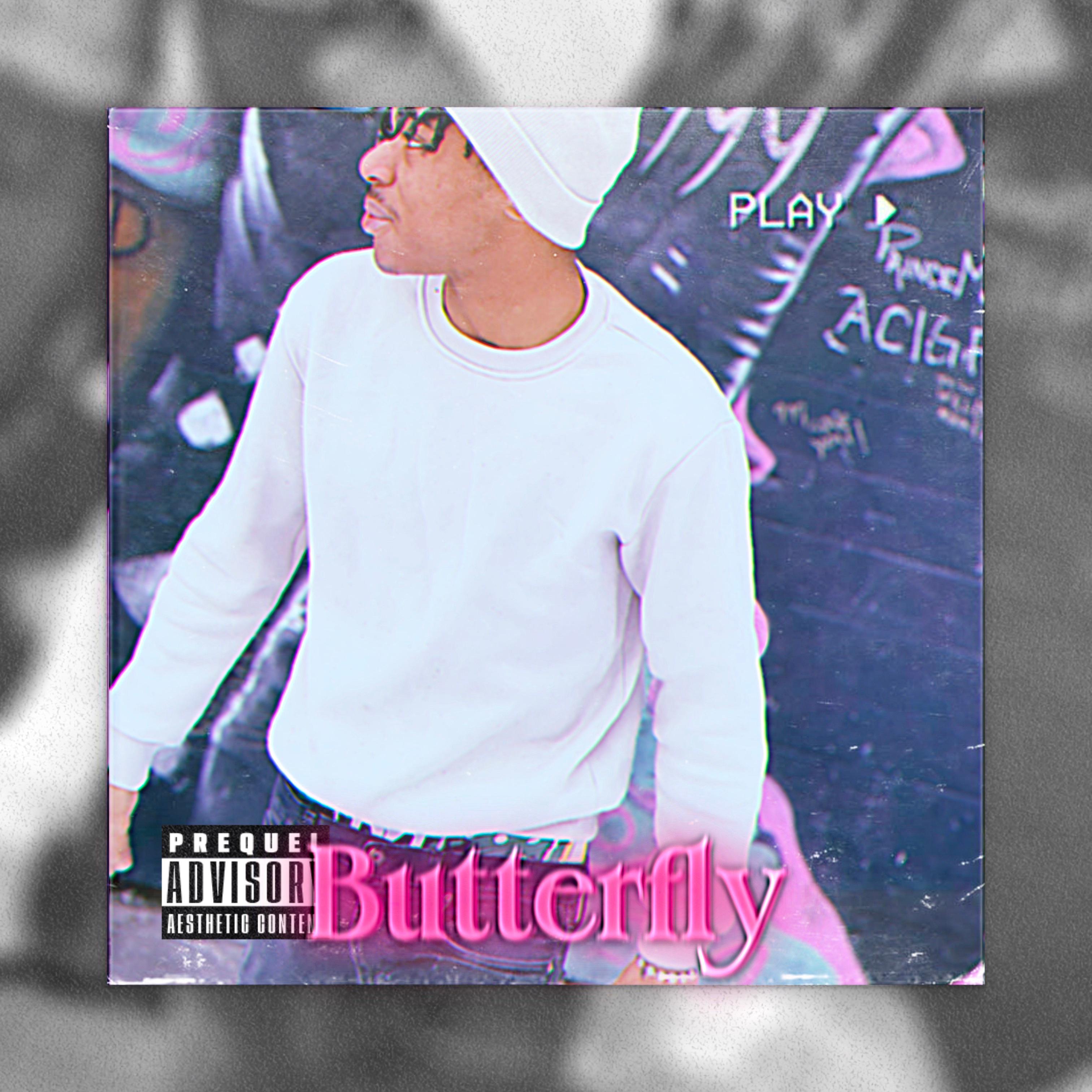 Butterfly artwork
