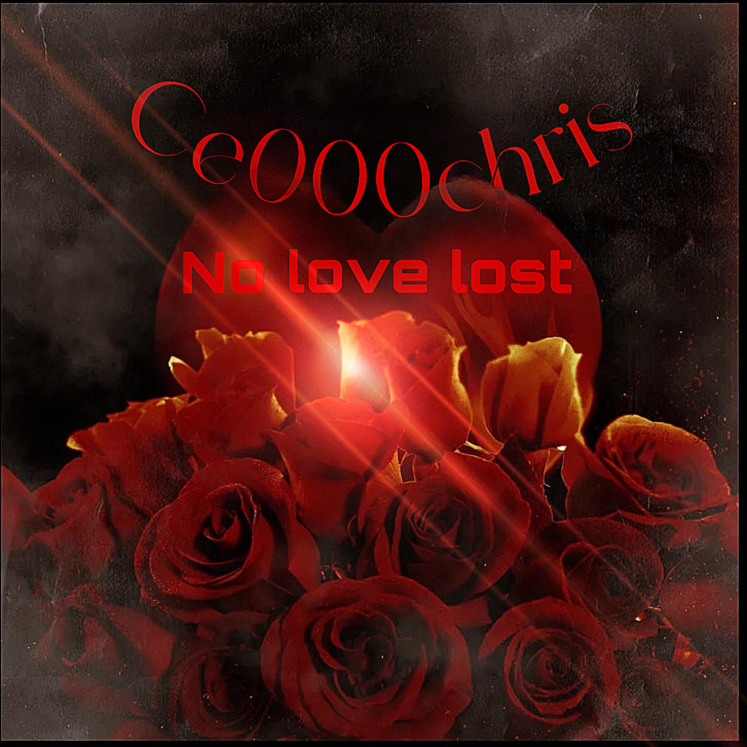 No Love Lost by Ce000Chris cover art