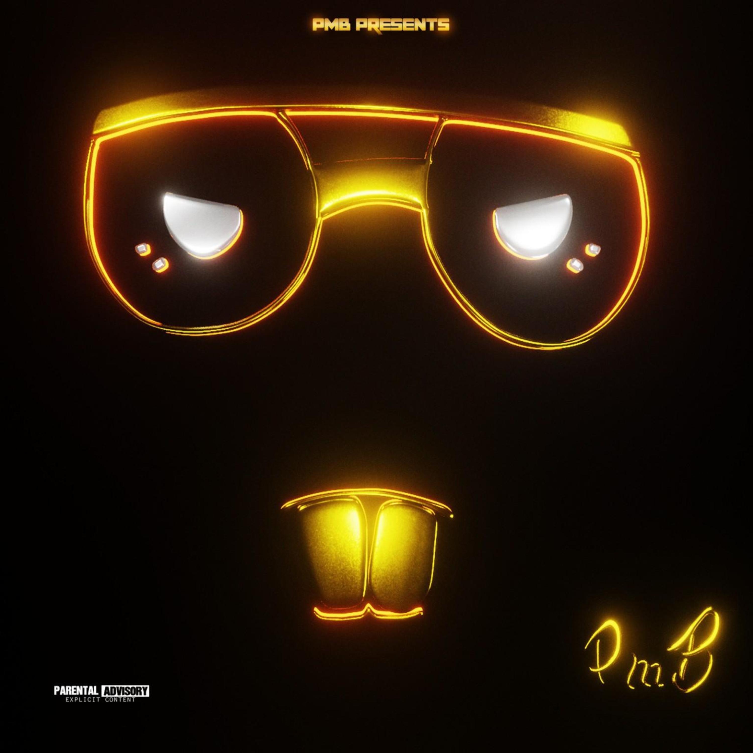 (P)laya(M)adde(B)usiness artwork