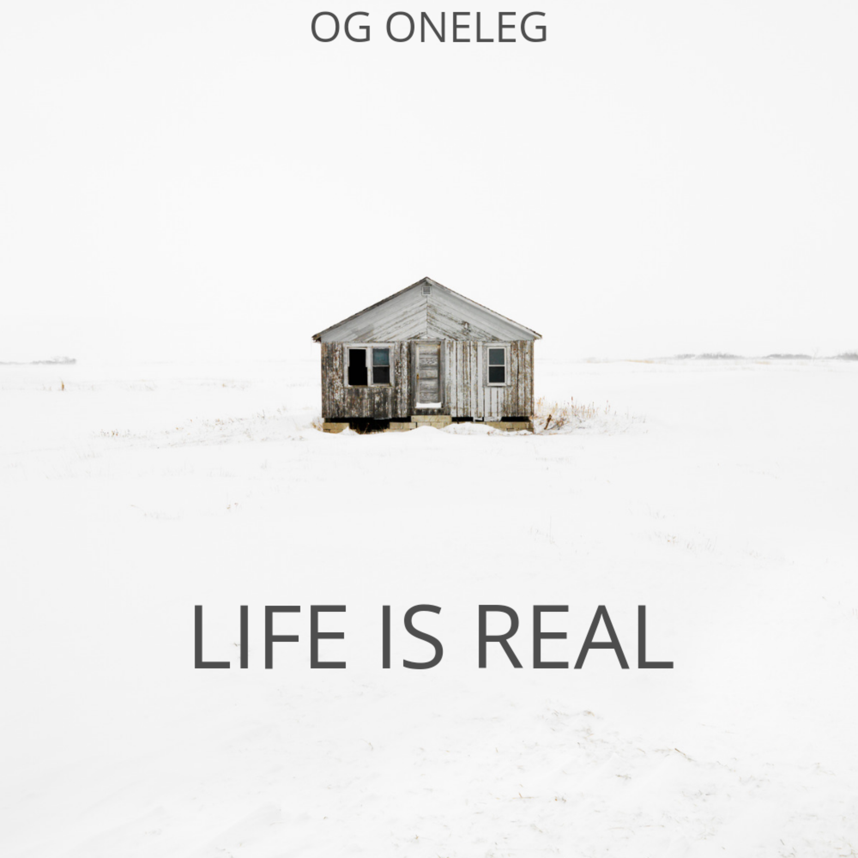 Life Is Real artwork