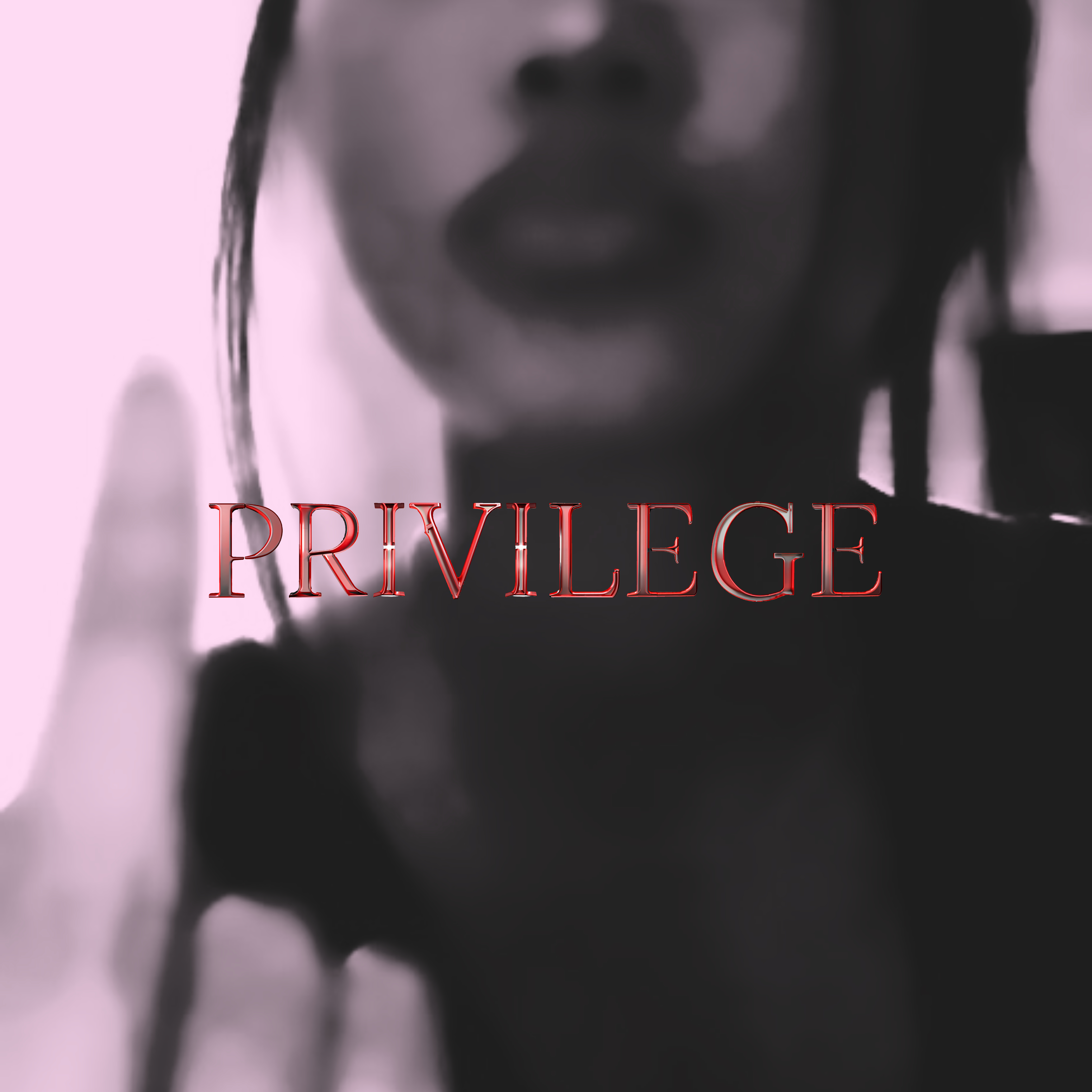 Privilege artwork