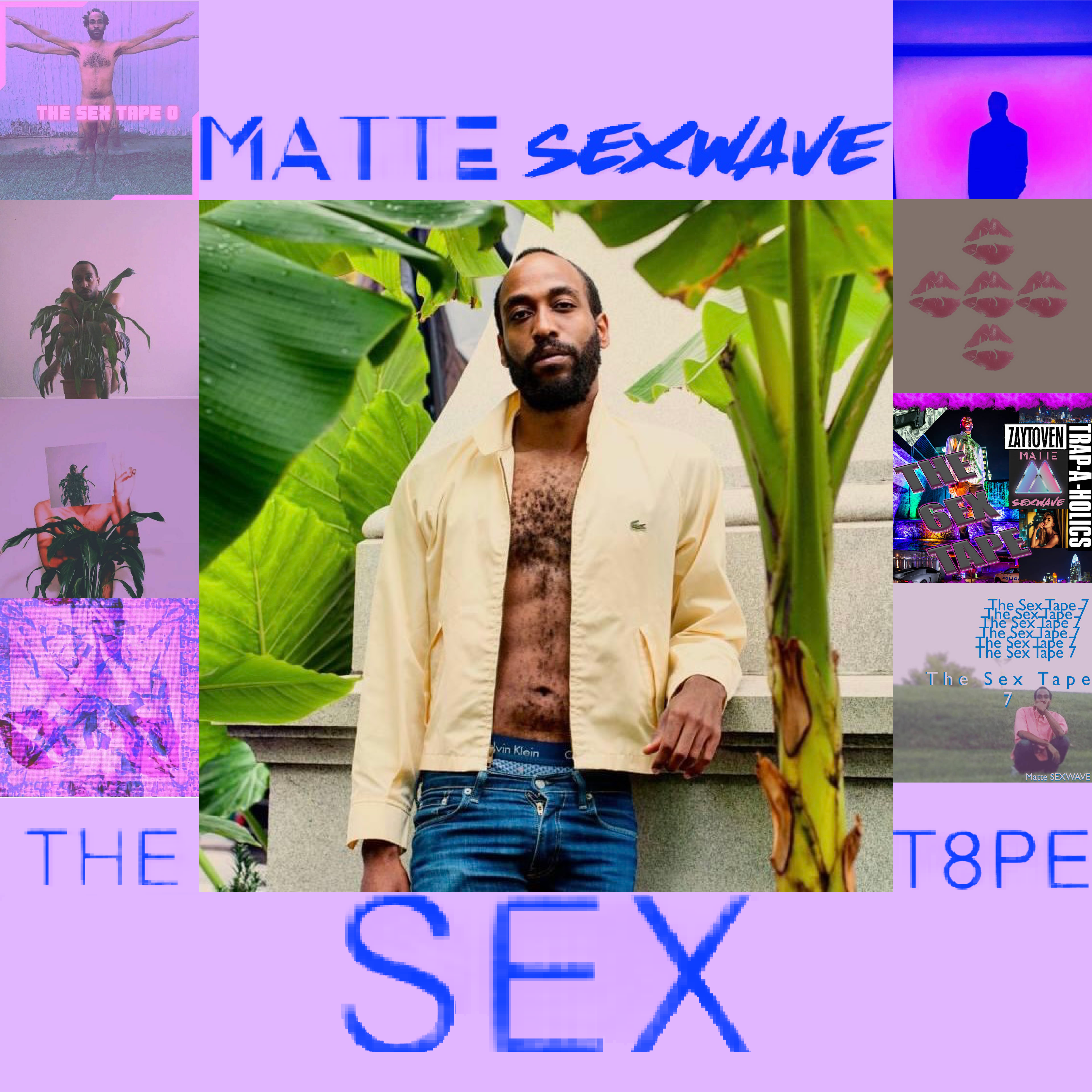 THE SEX T8PE artwork