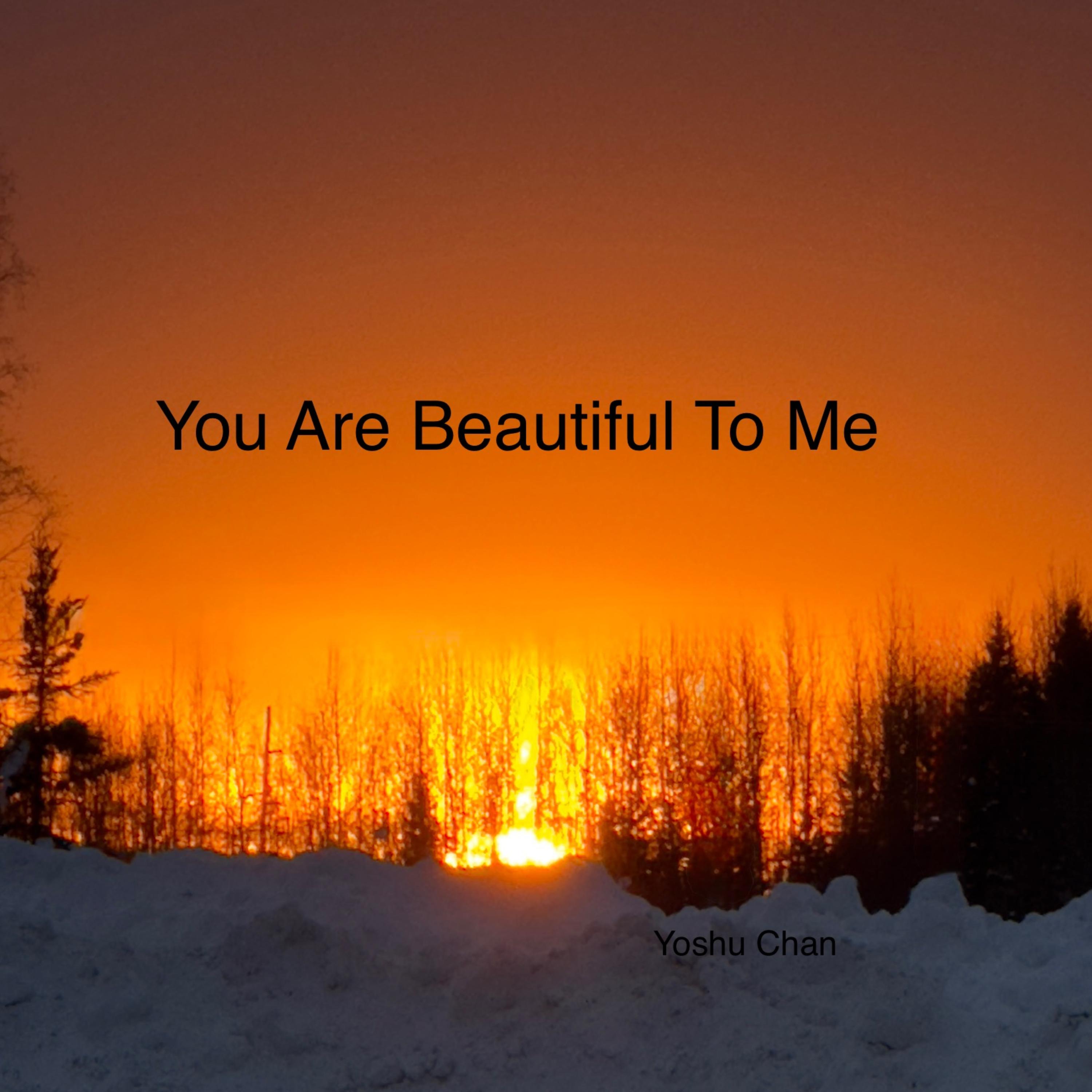 You Are Beautiful To Me artwork