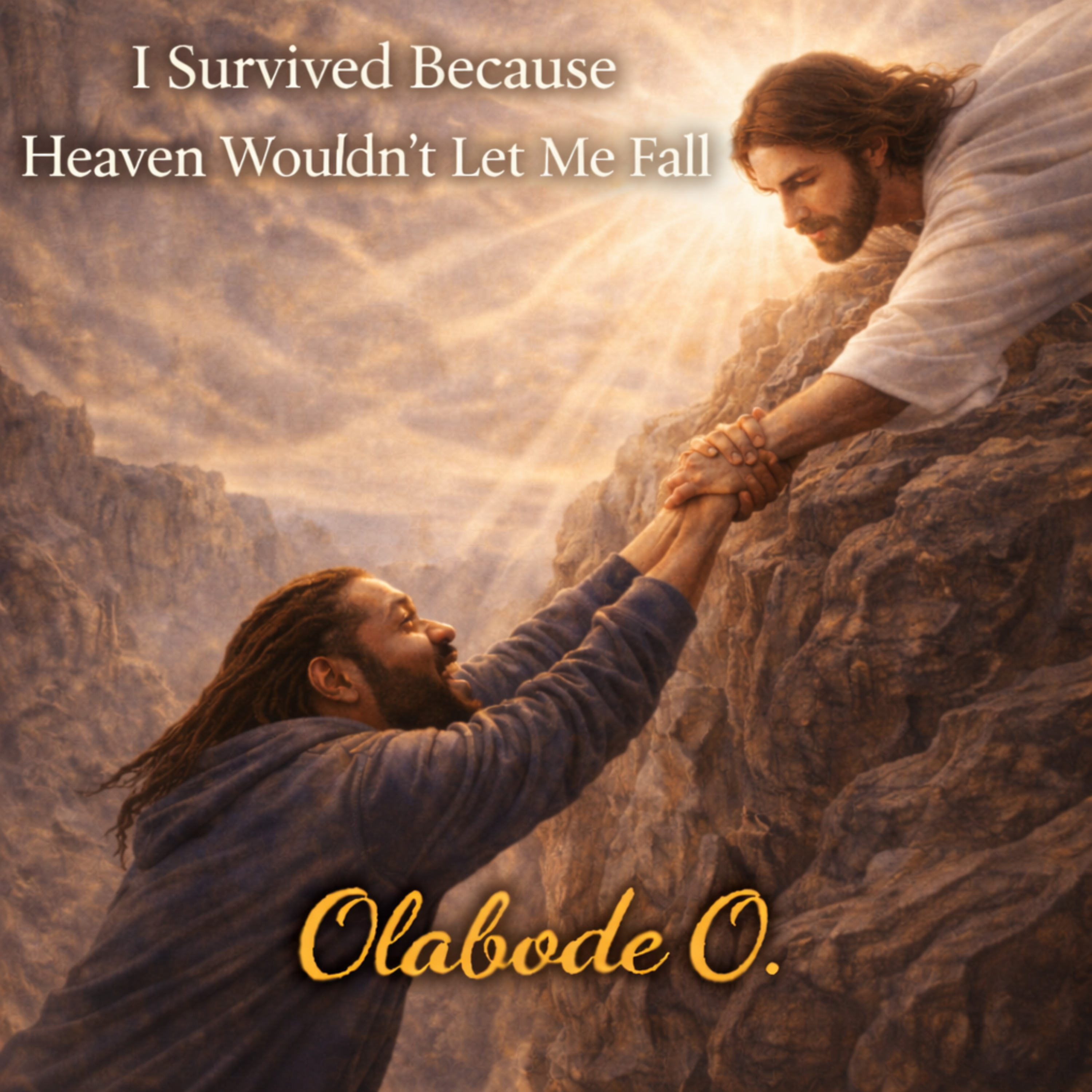 I Survived Because Heaven Wouldn’t Let Me Fall artwork