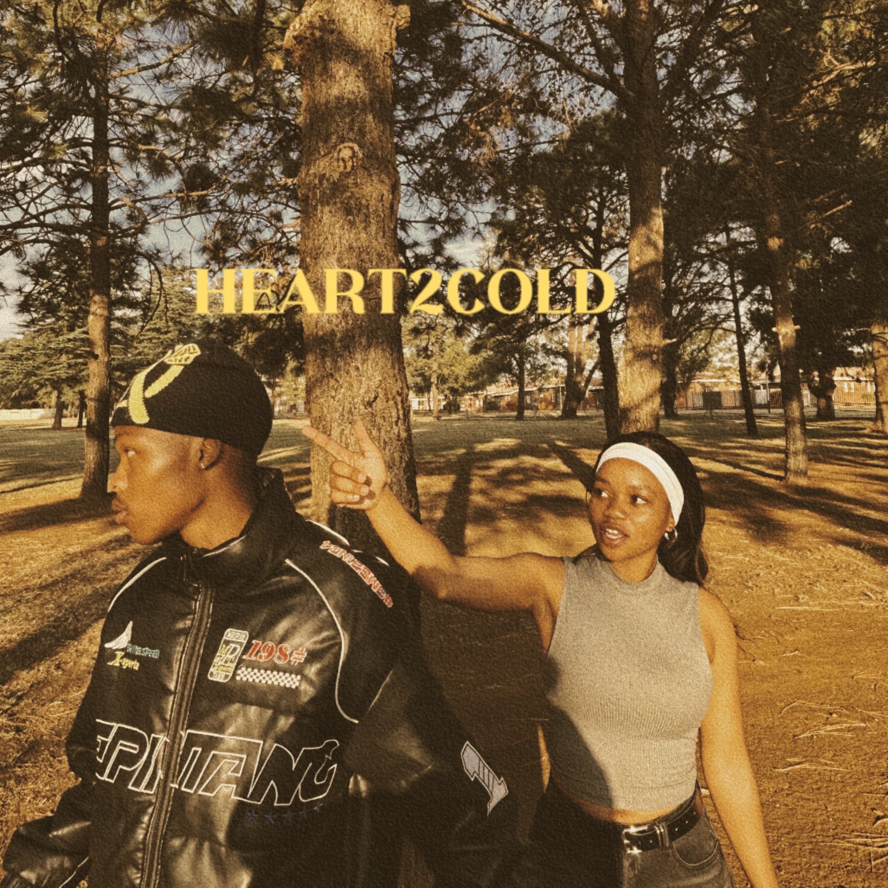 HEART2COLD artwork