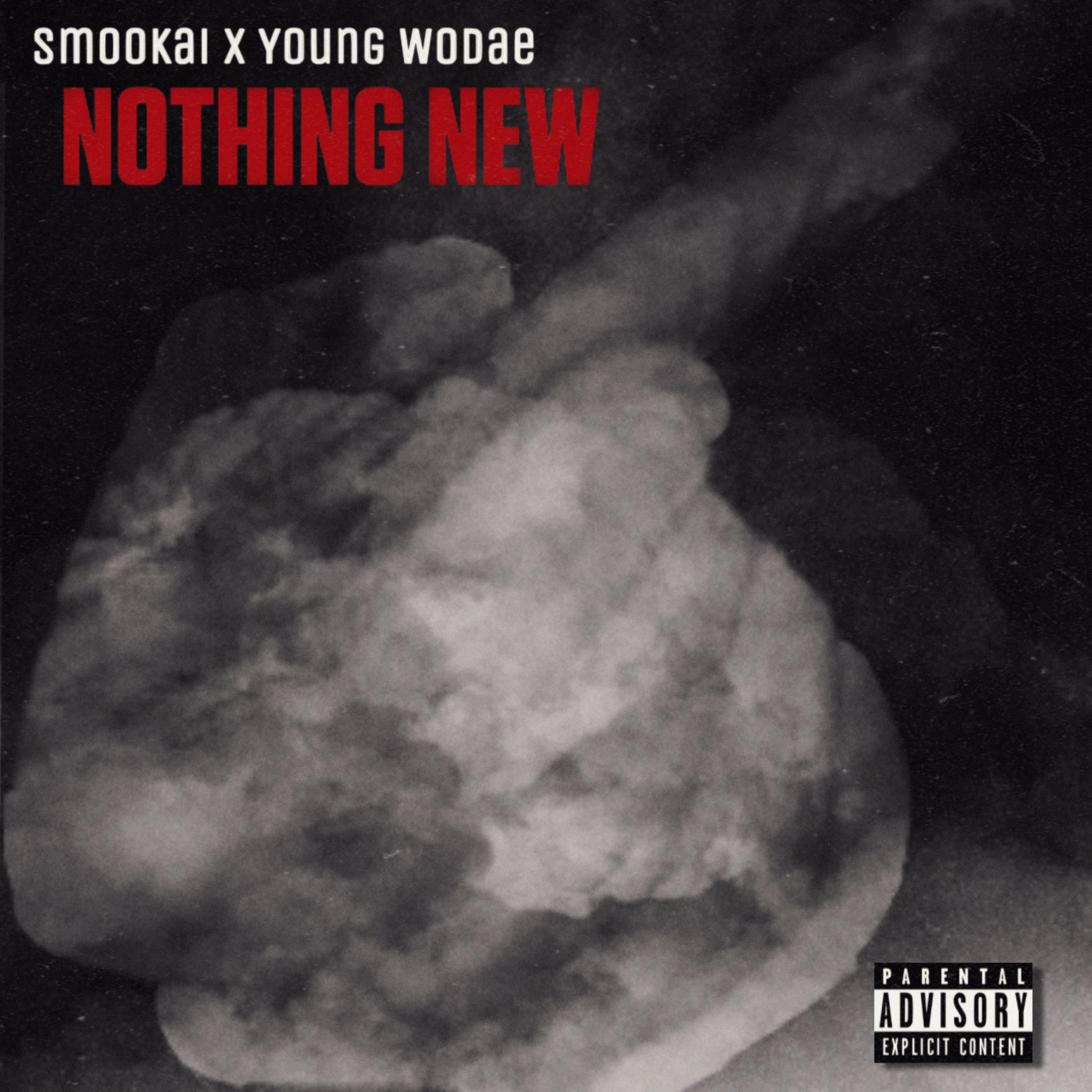 NOTHING NEW. artwork