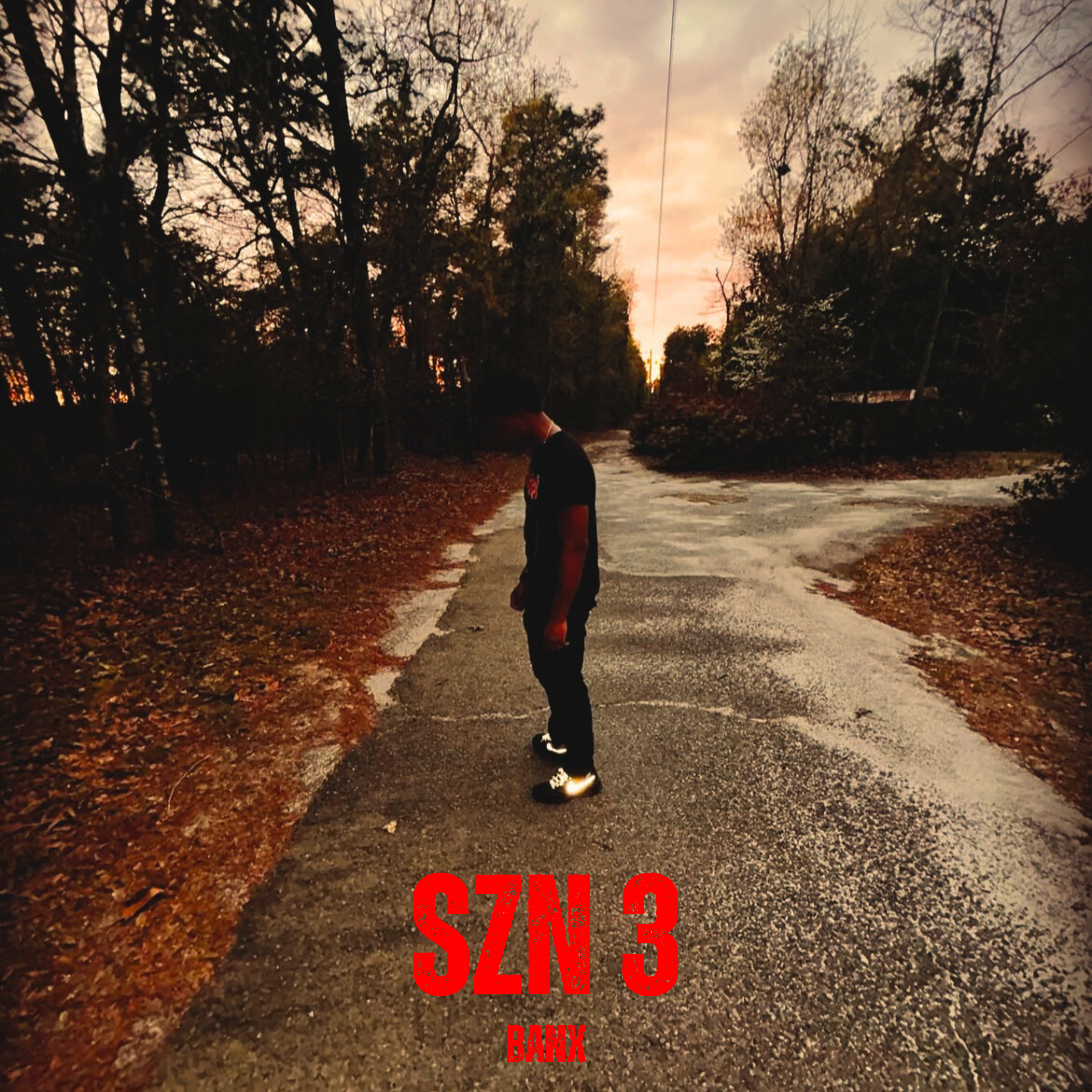 SZN 3 by BANX cover art