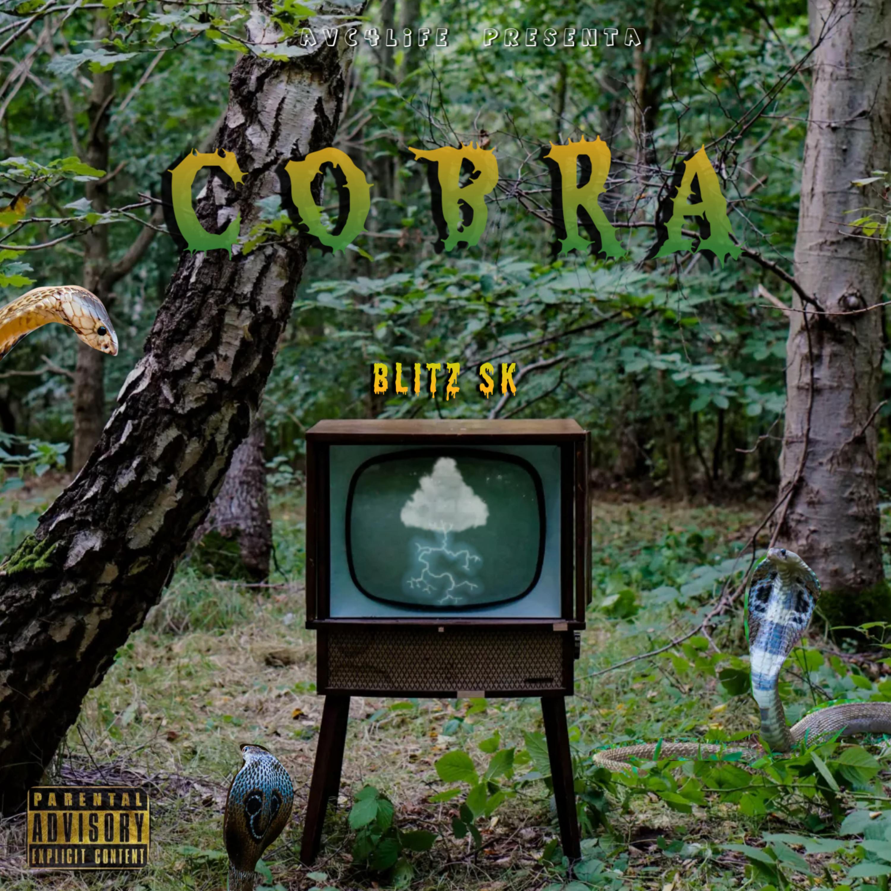 Cobra artwork