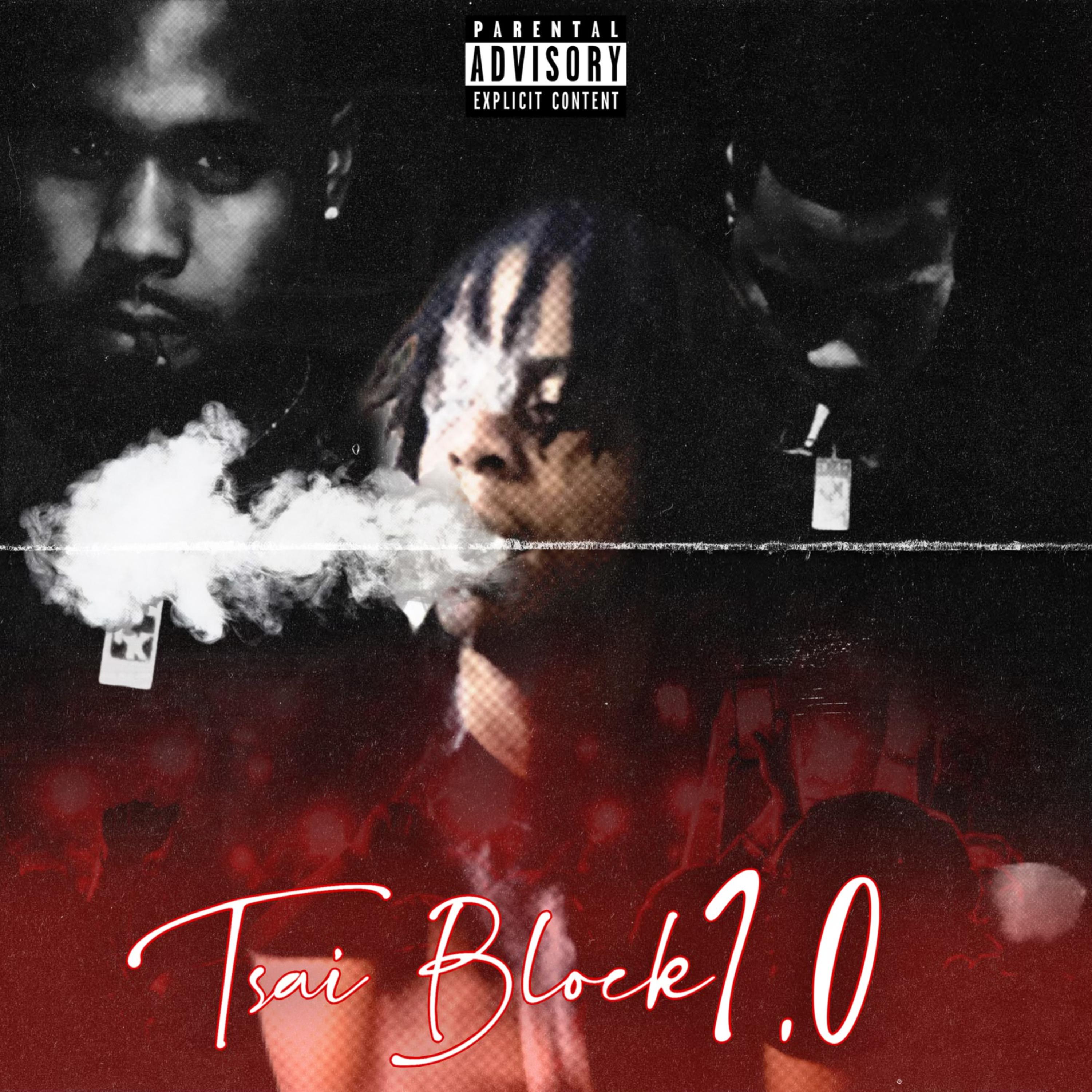 SaiBLOCK 1.0 artwork