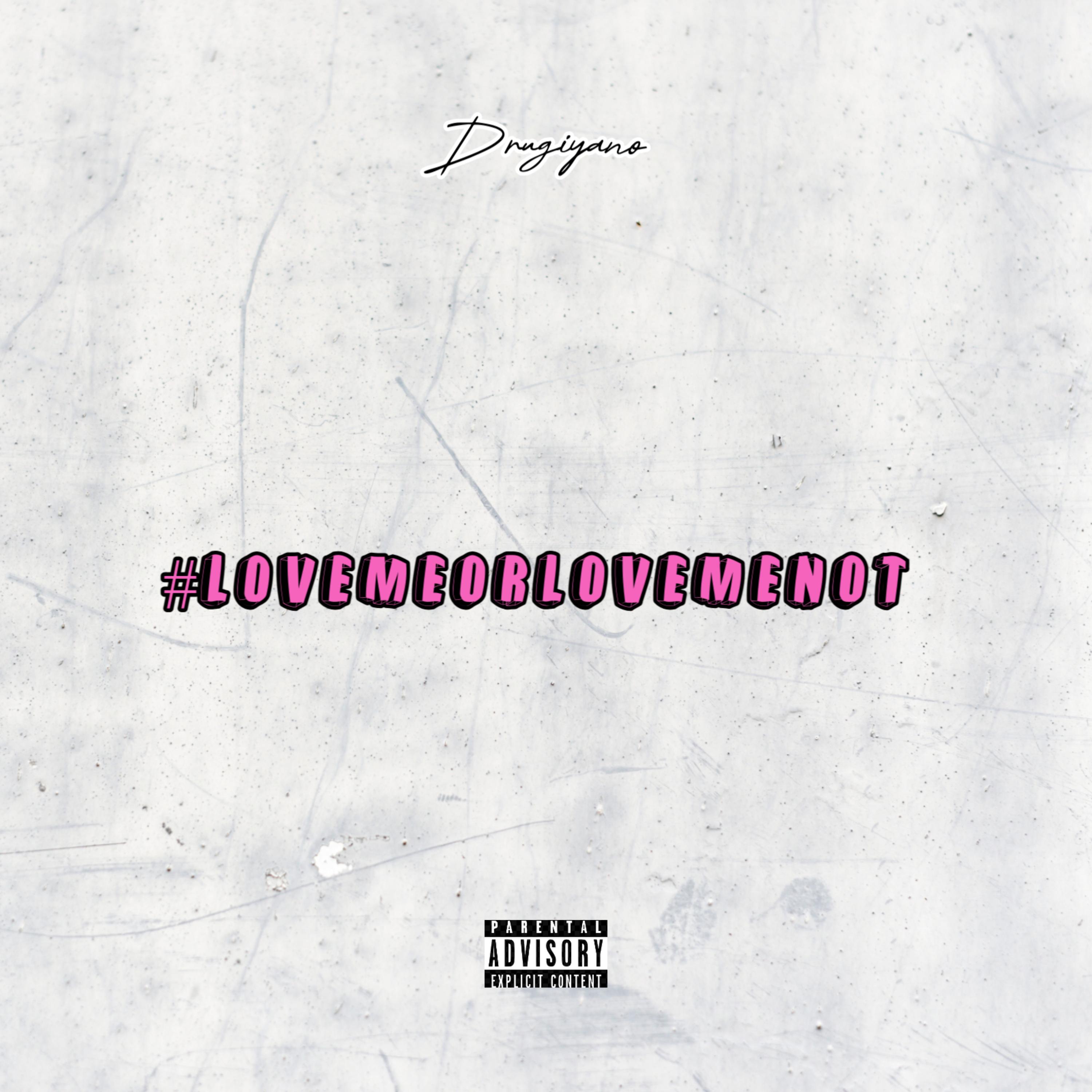 #lovemeorlovemenot artwork