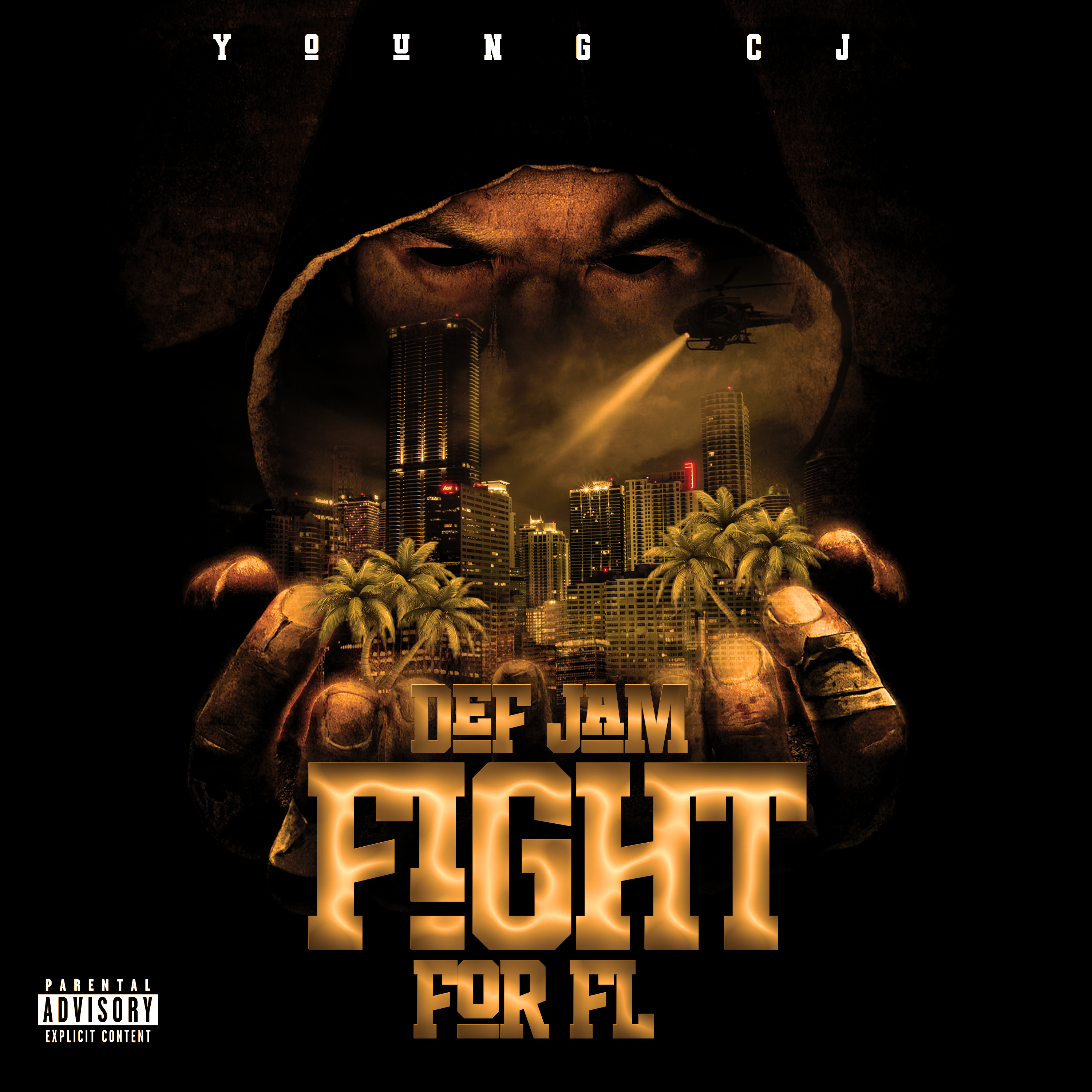 Def Jam: Fight for FL artwork