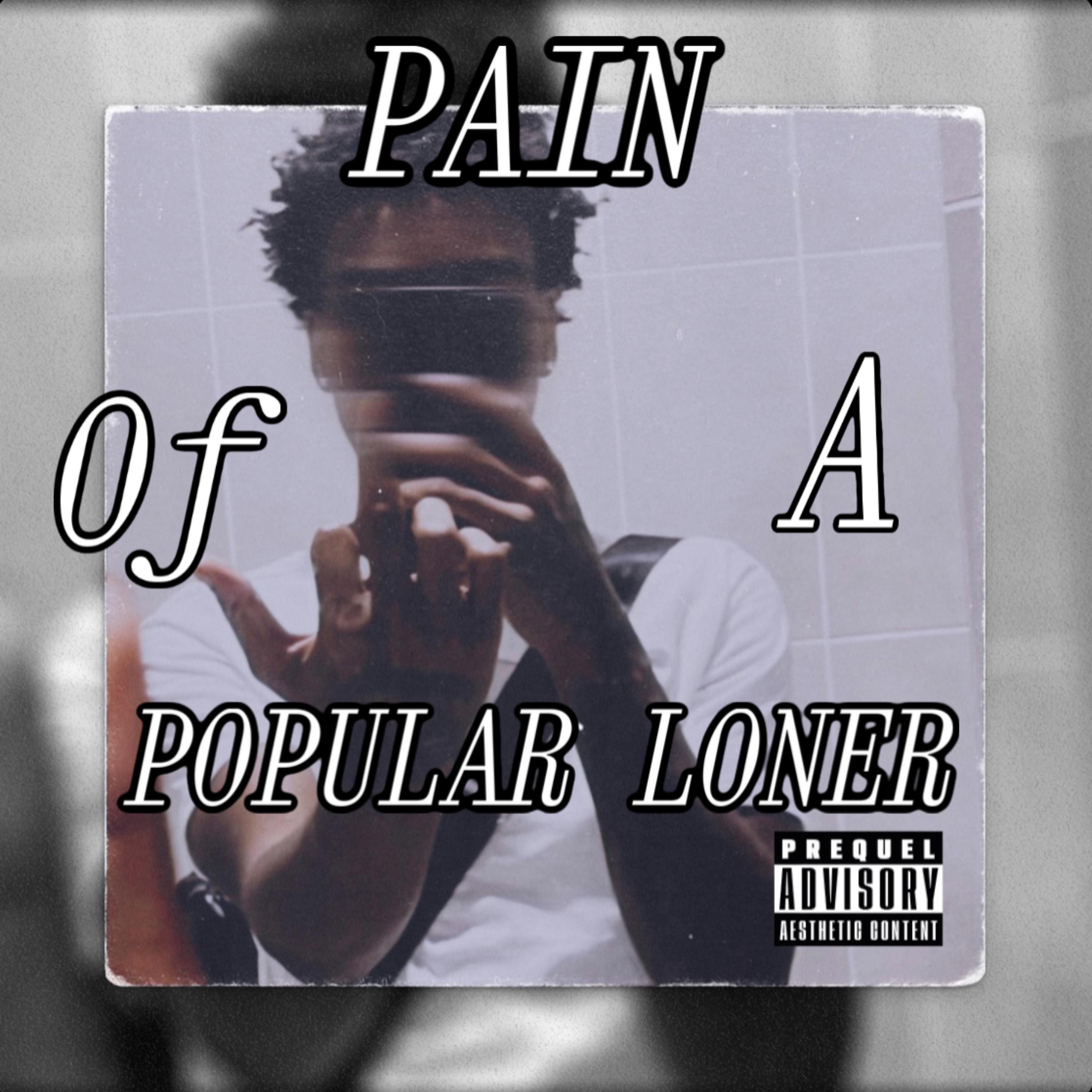 Pain Of A Popular Loner artwork