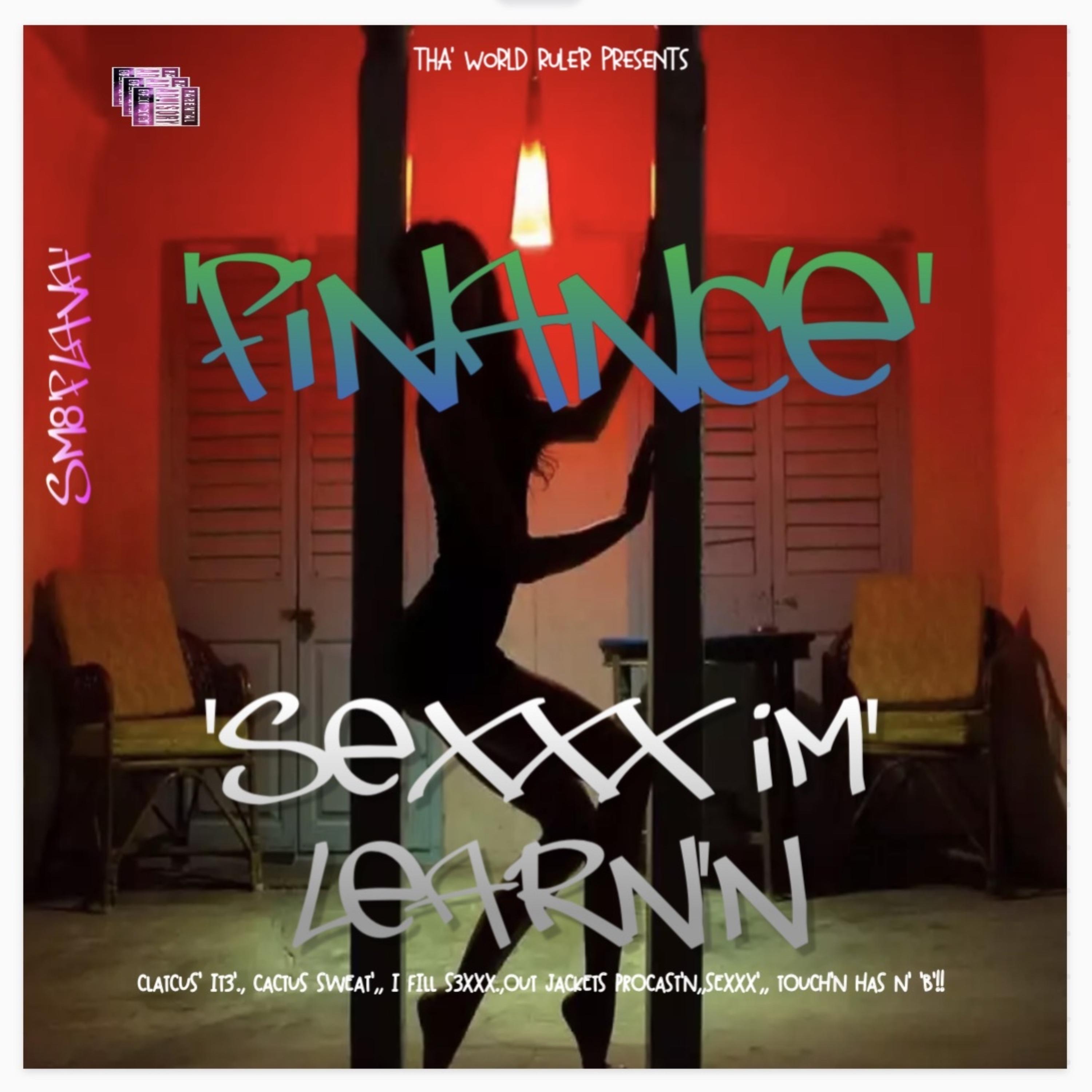 SEXXX IM LEARN'N artwork