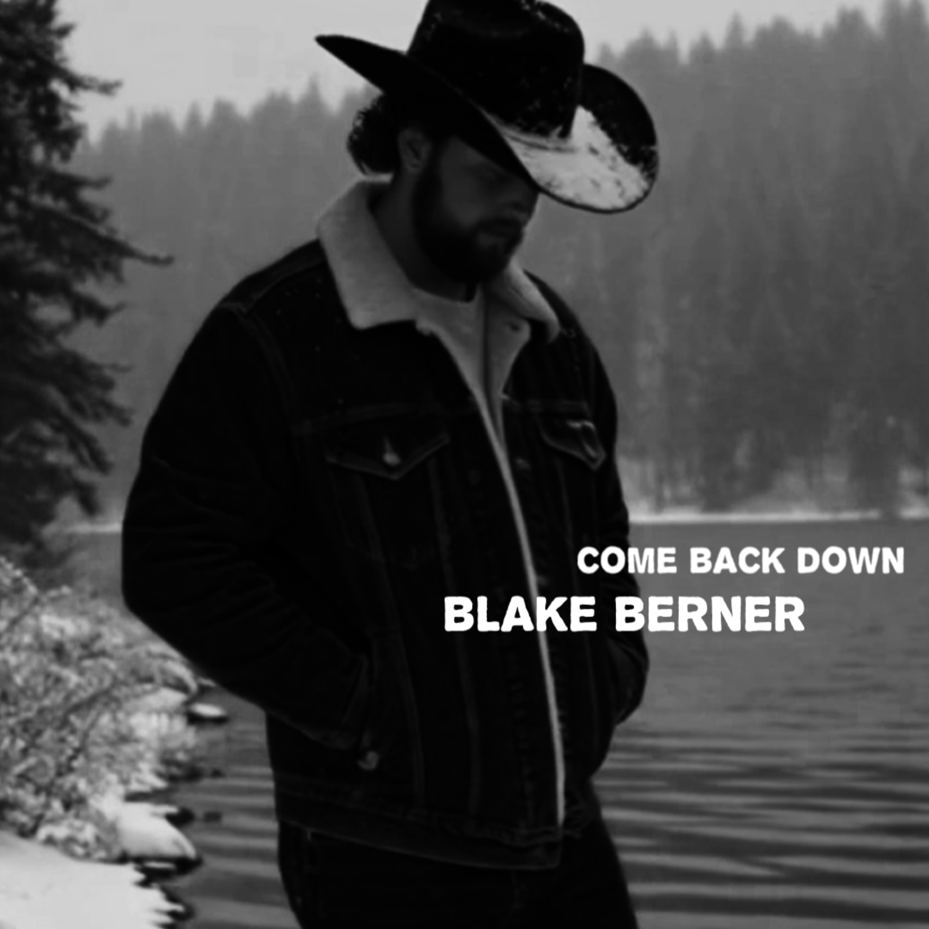 Come Back Down artwork