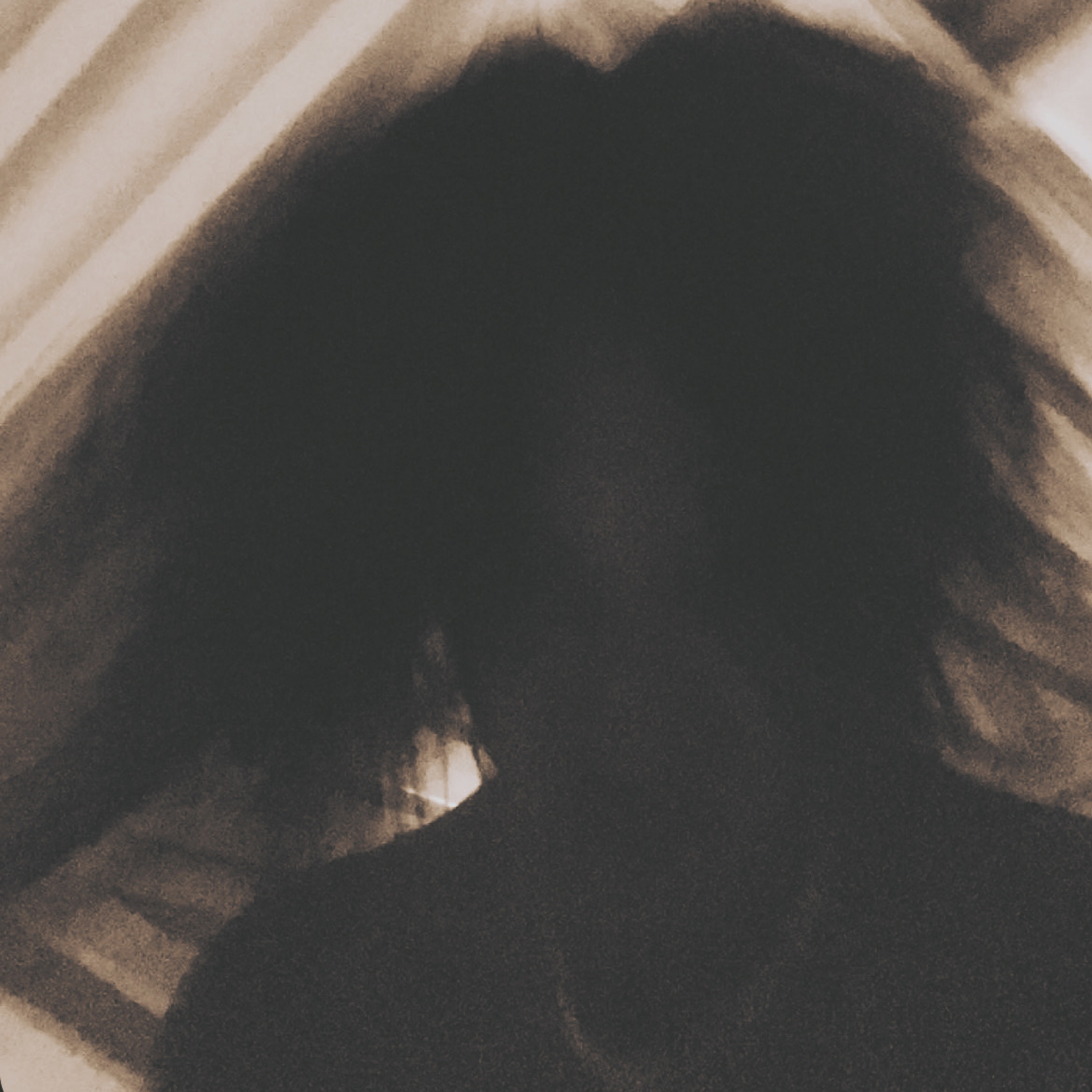 The Birds Said Otherwise (ReMASStered) artwork