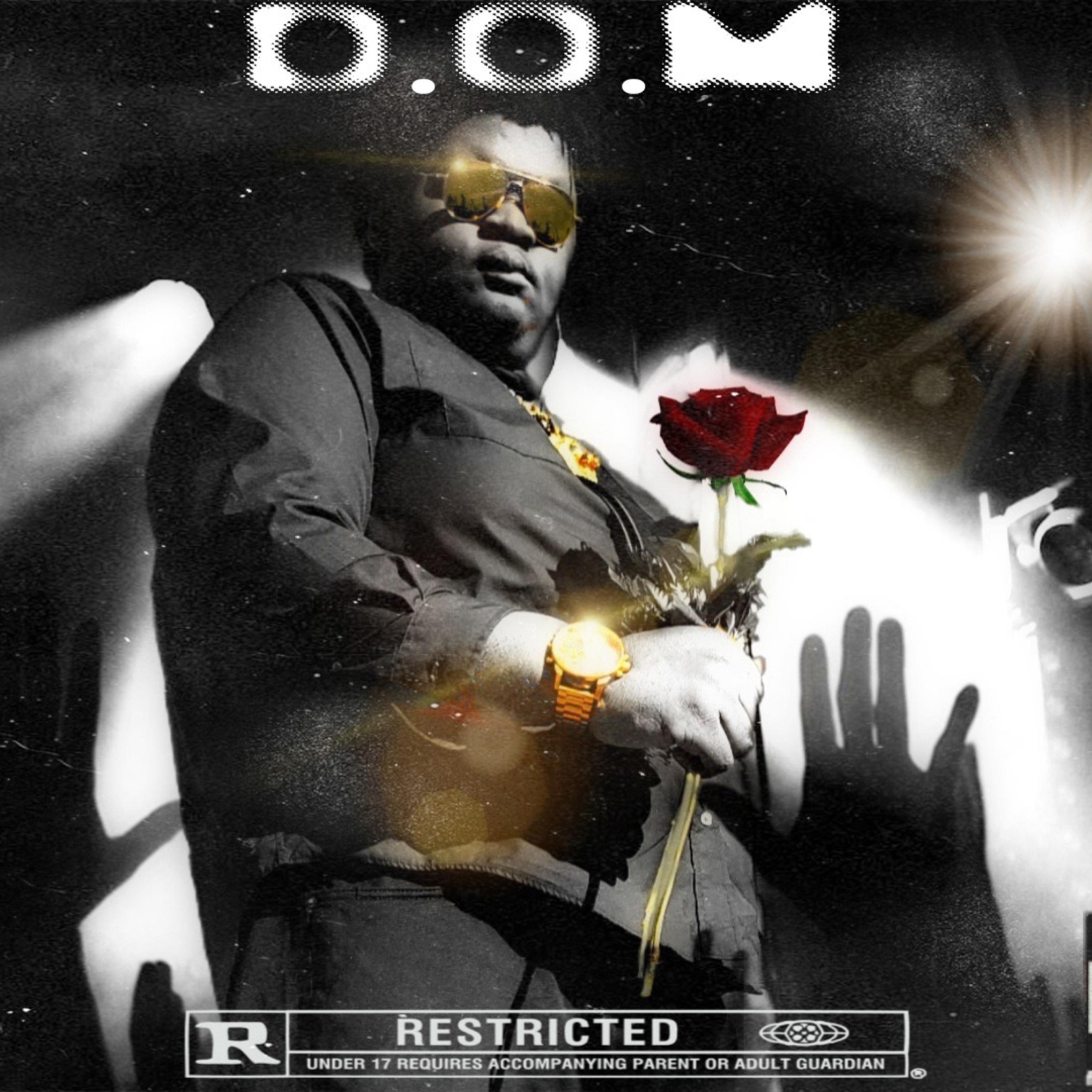 D.O.M (Documentaires Of A MusicMan) artwork