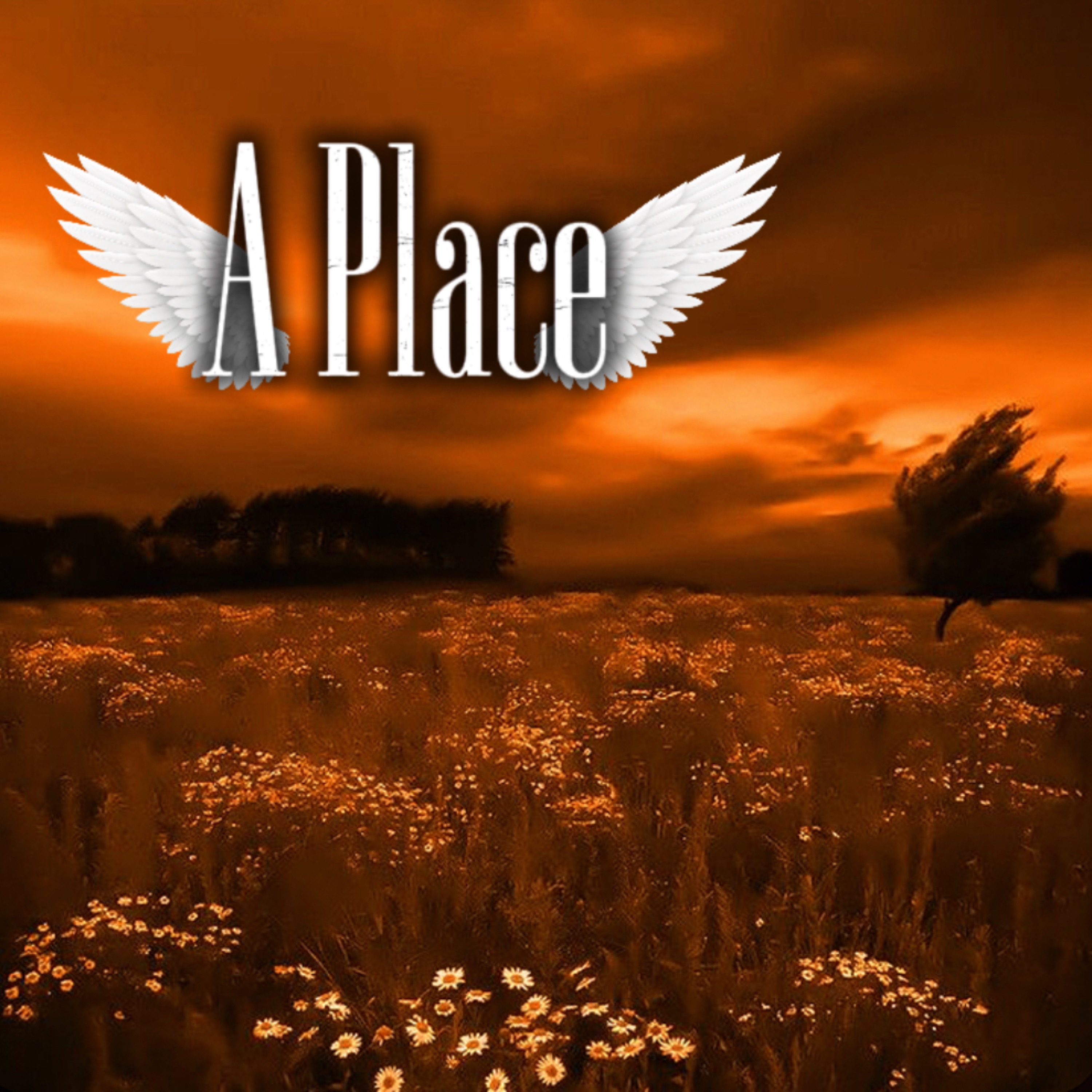 A Place artwork