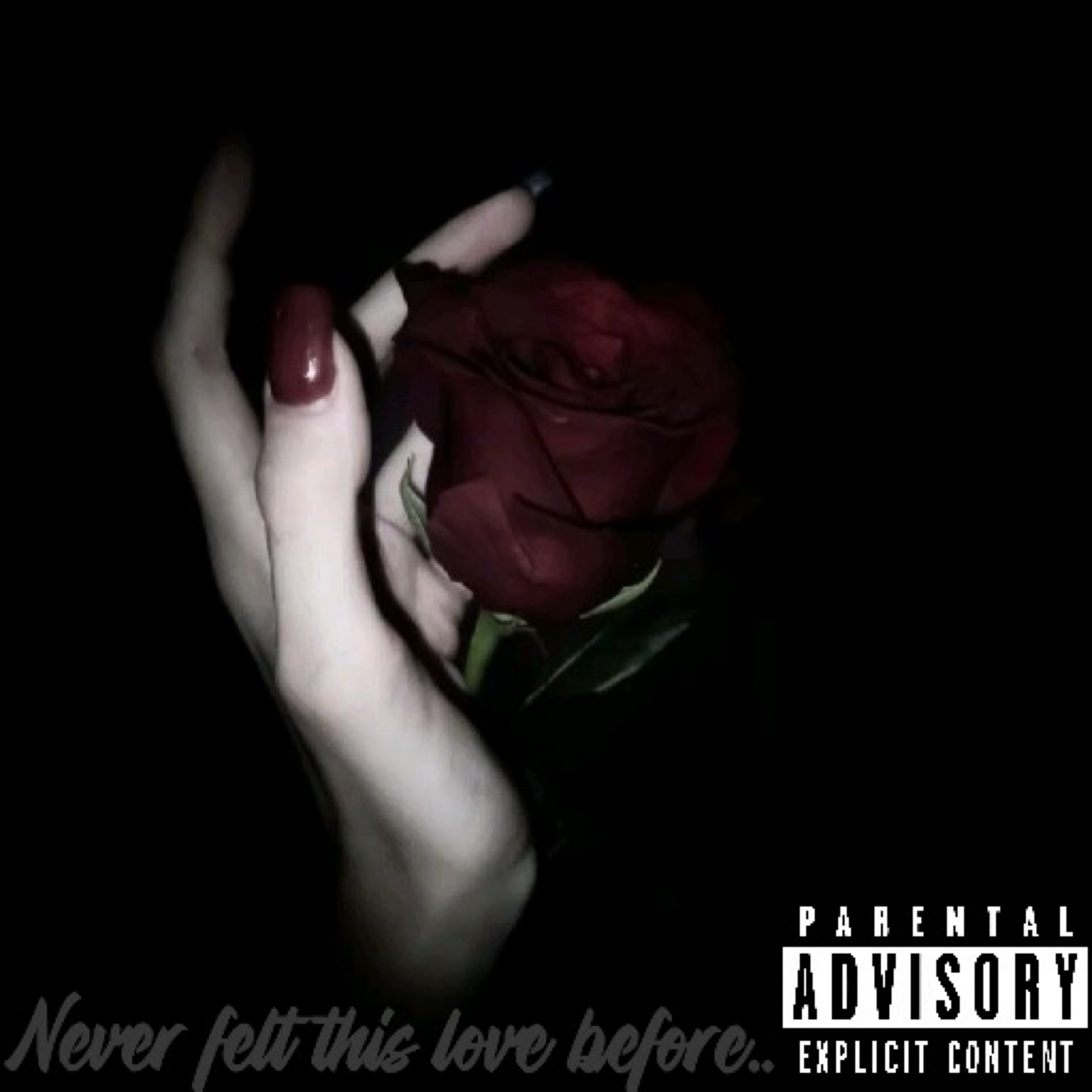 Never Felt Like This Before artwork