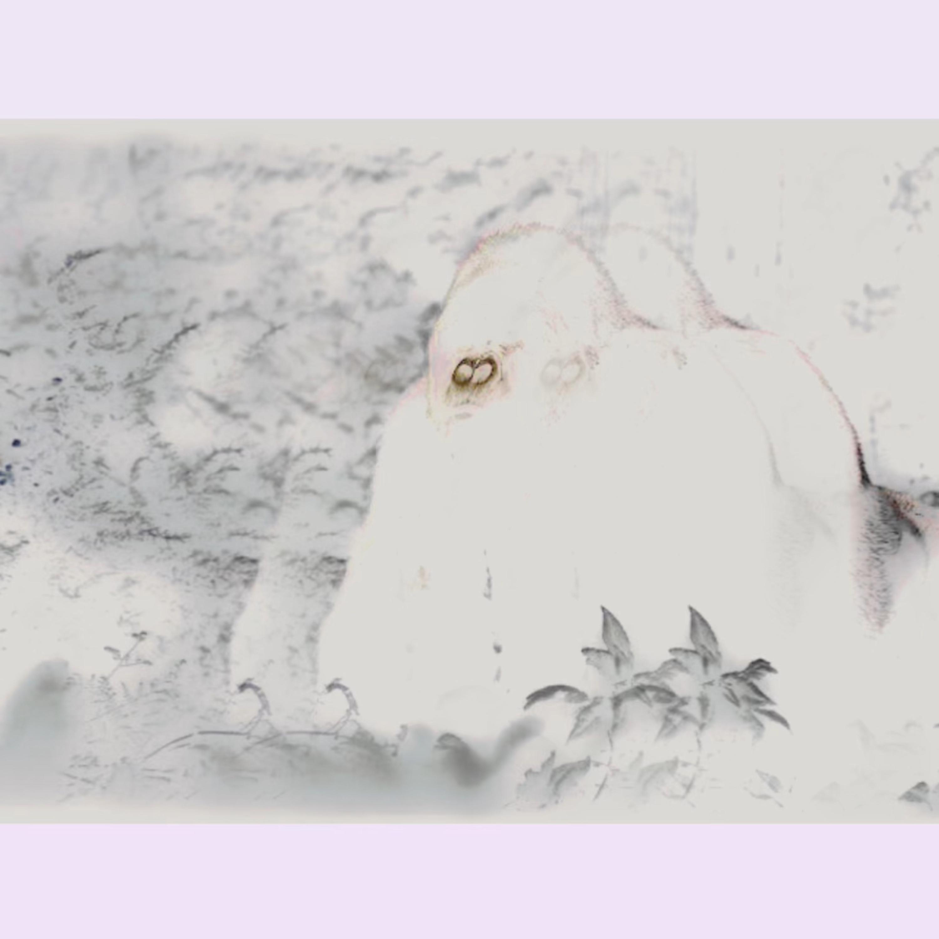 SurPrisE ! artwork