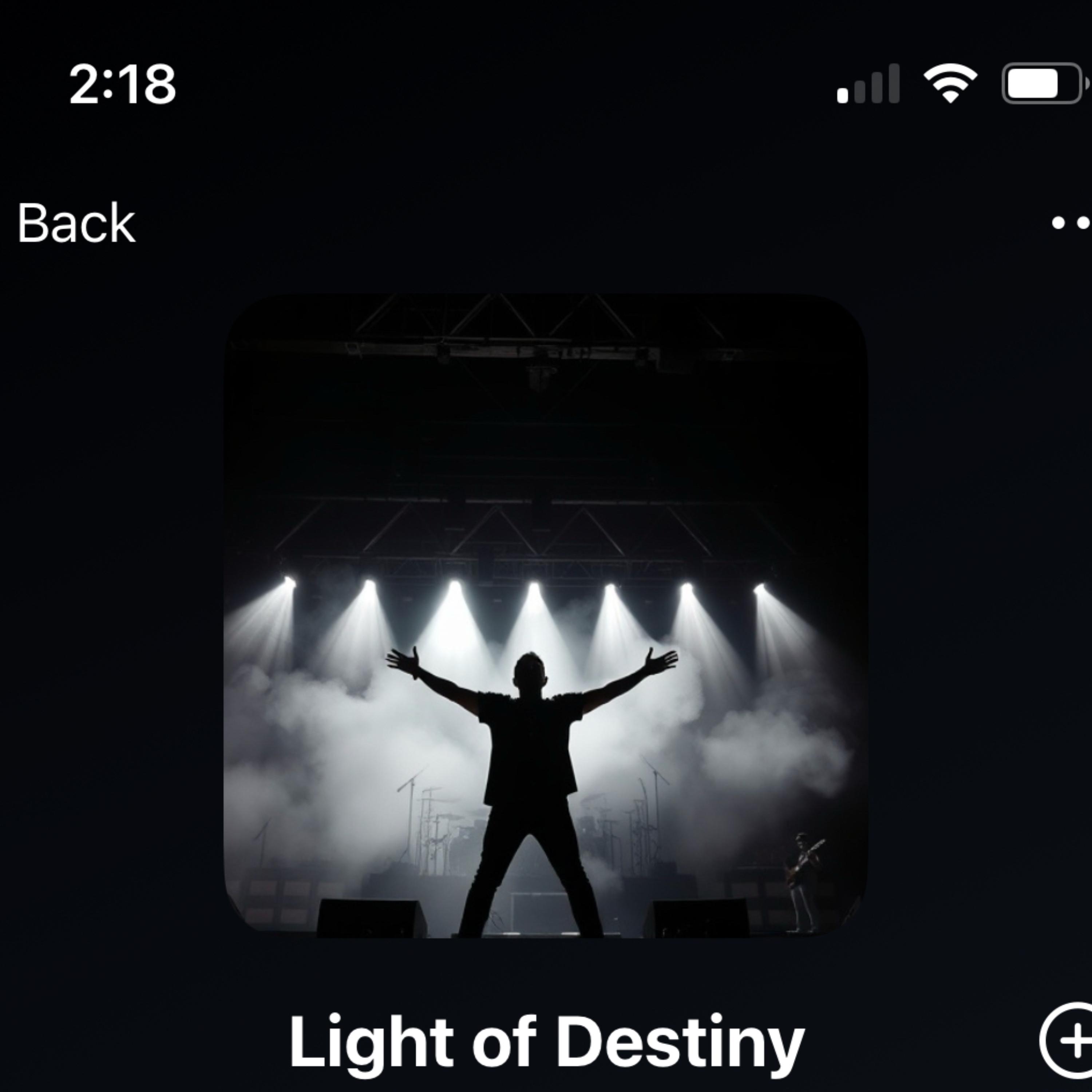 Light Of Destiny artwork