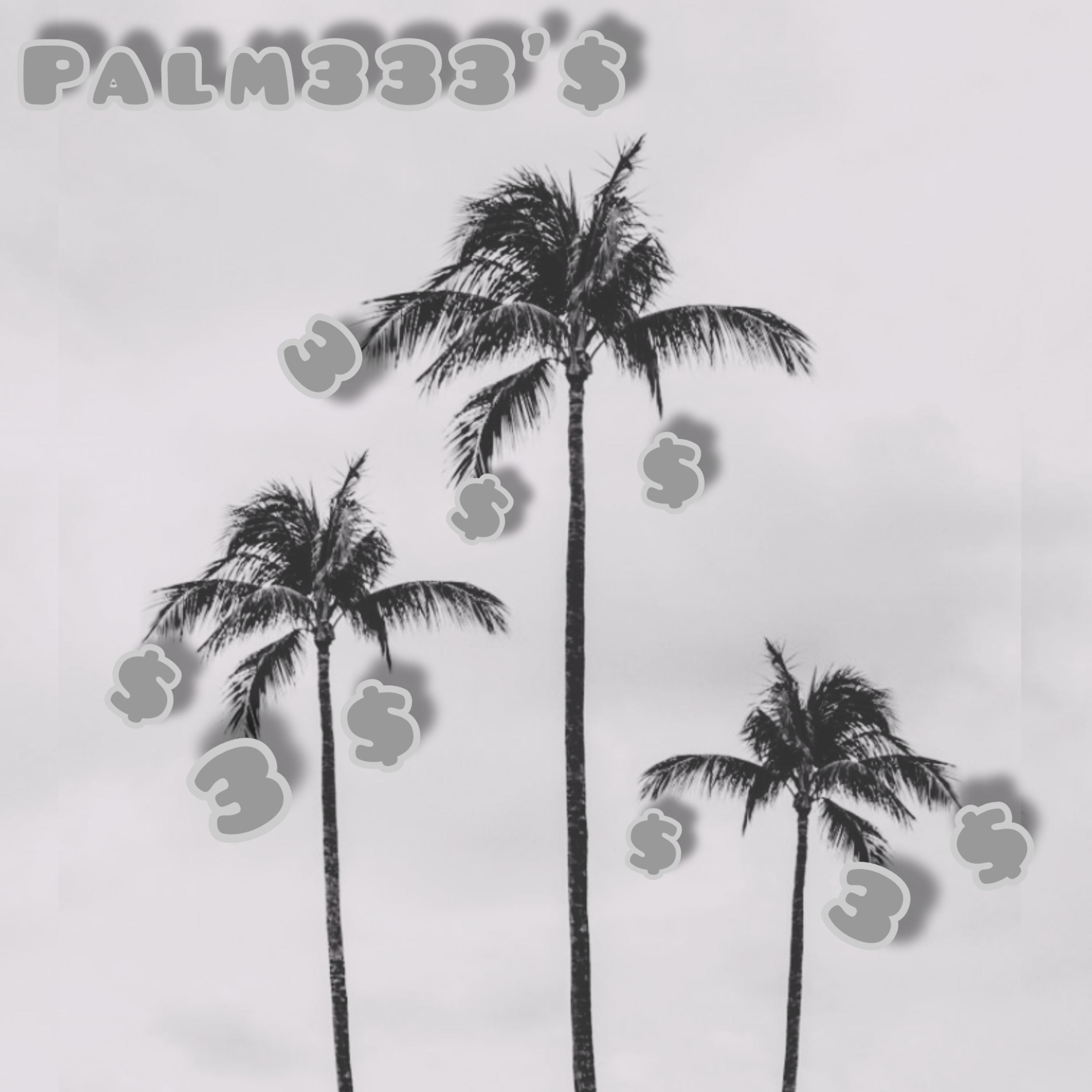 Palm333's artwork