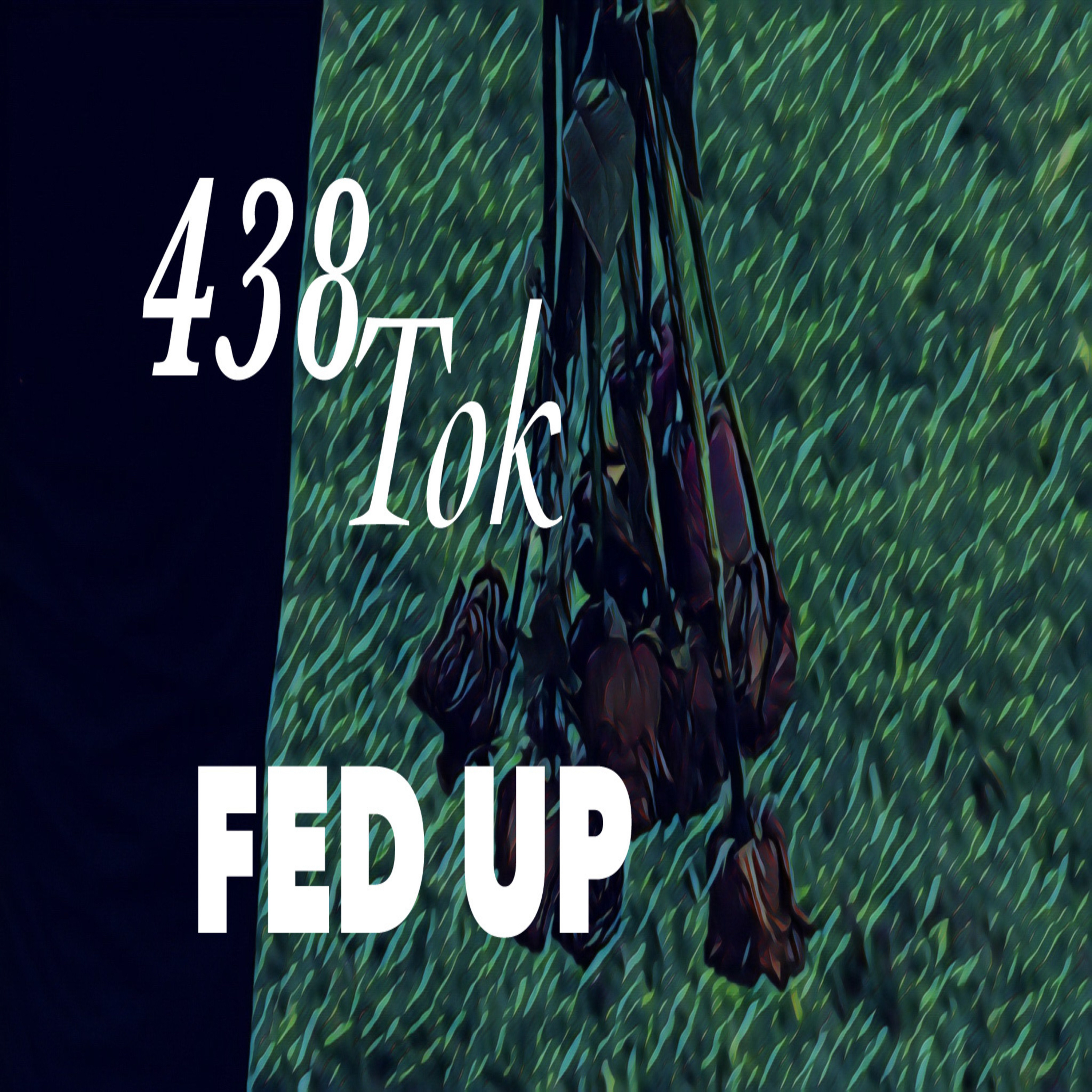 Fed Up artwork