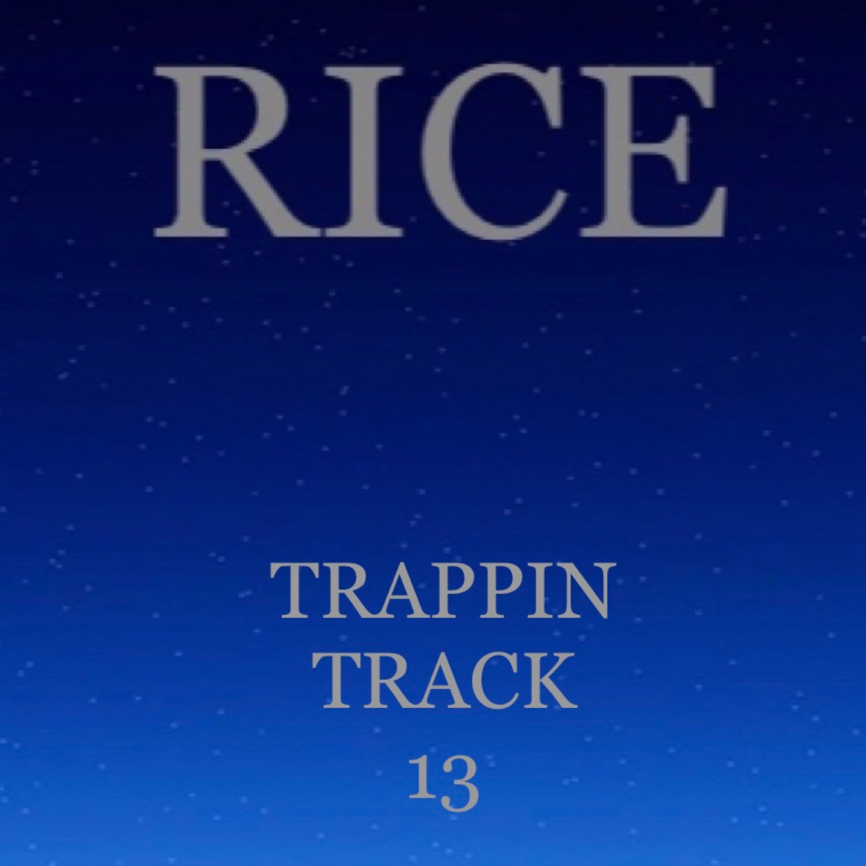 Trappin Track 13 artwork