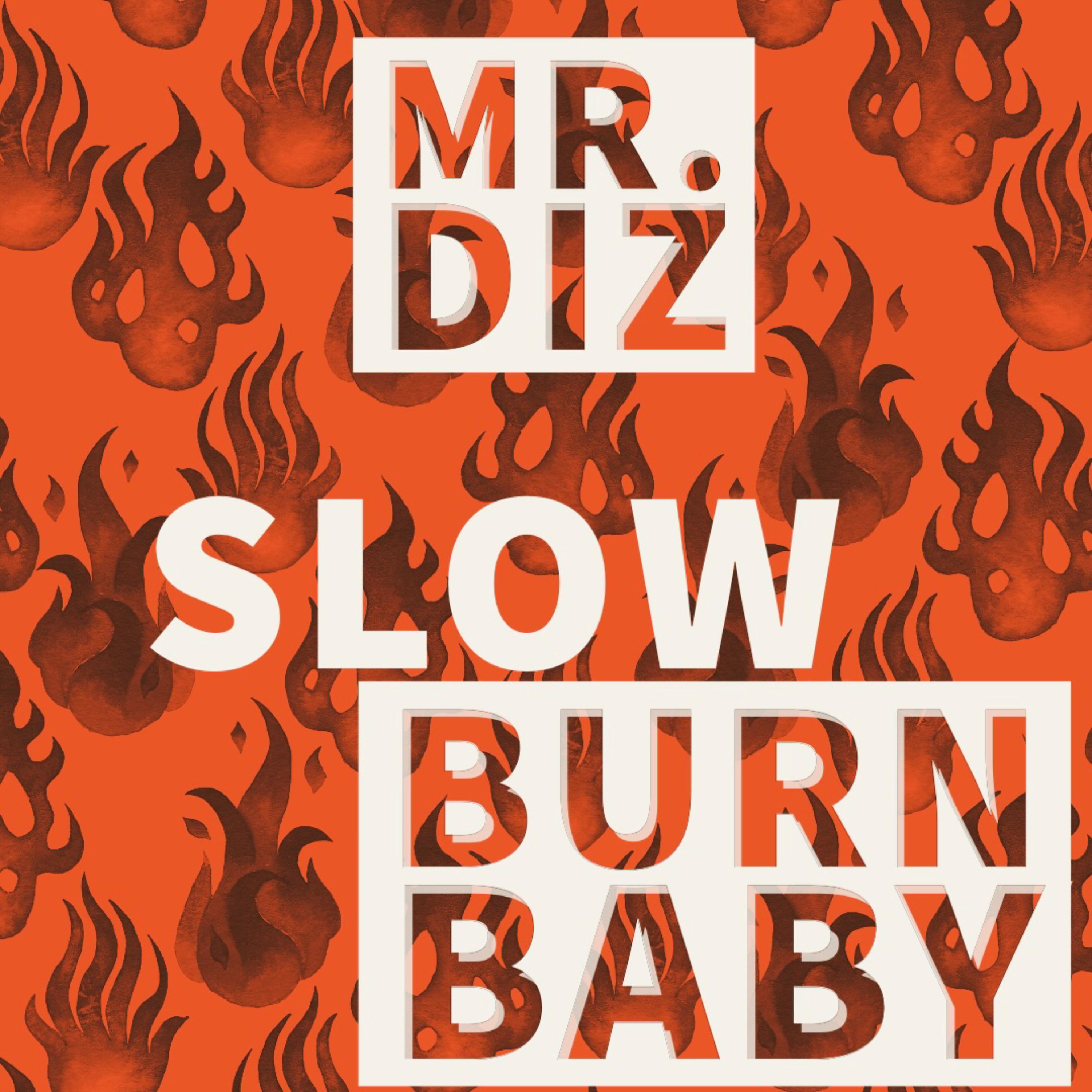 Slow Burn Baby by Mr Diz cover art
