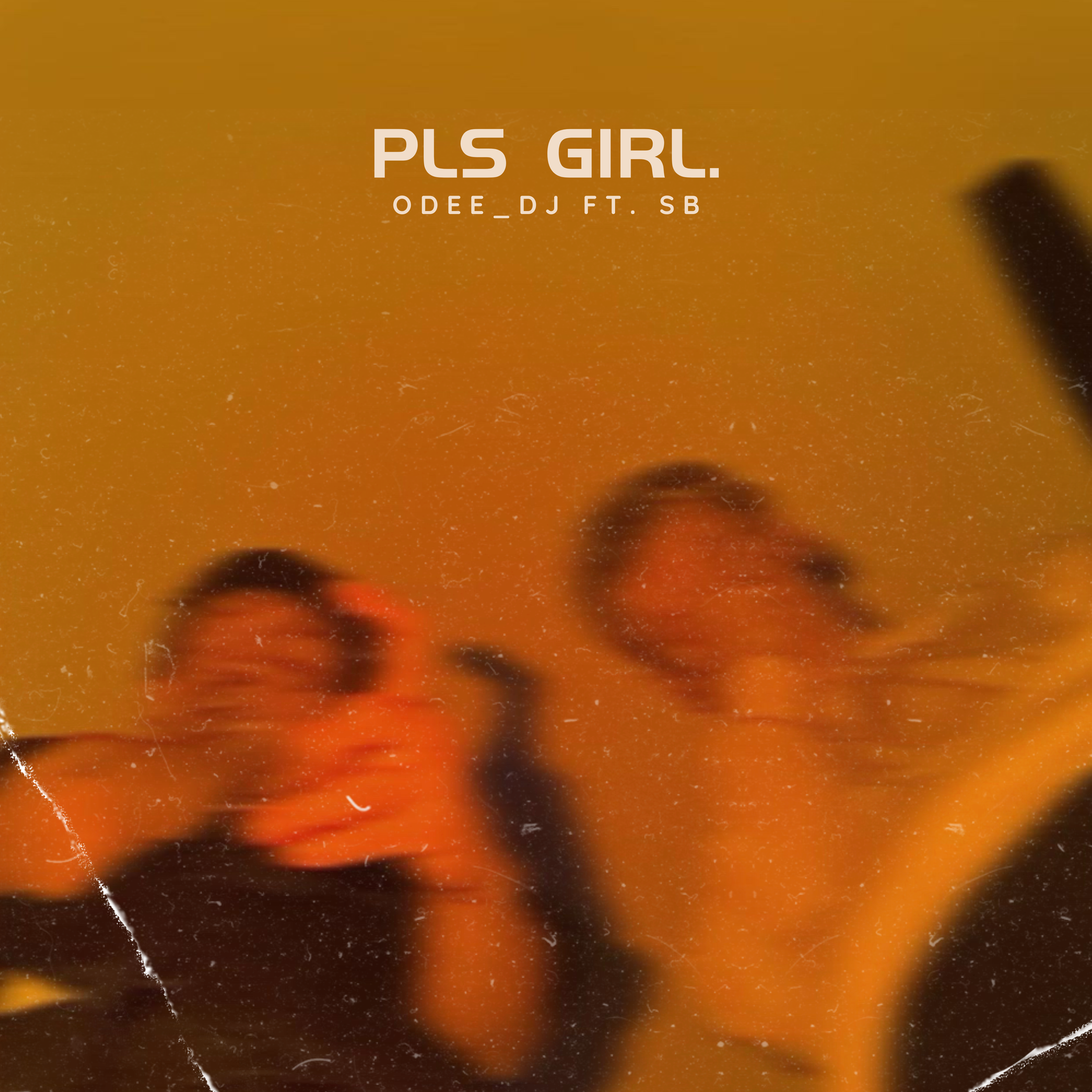 Pls Girl. artwork