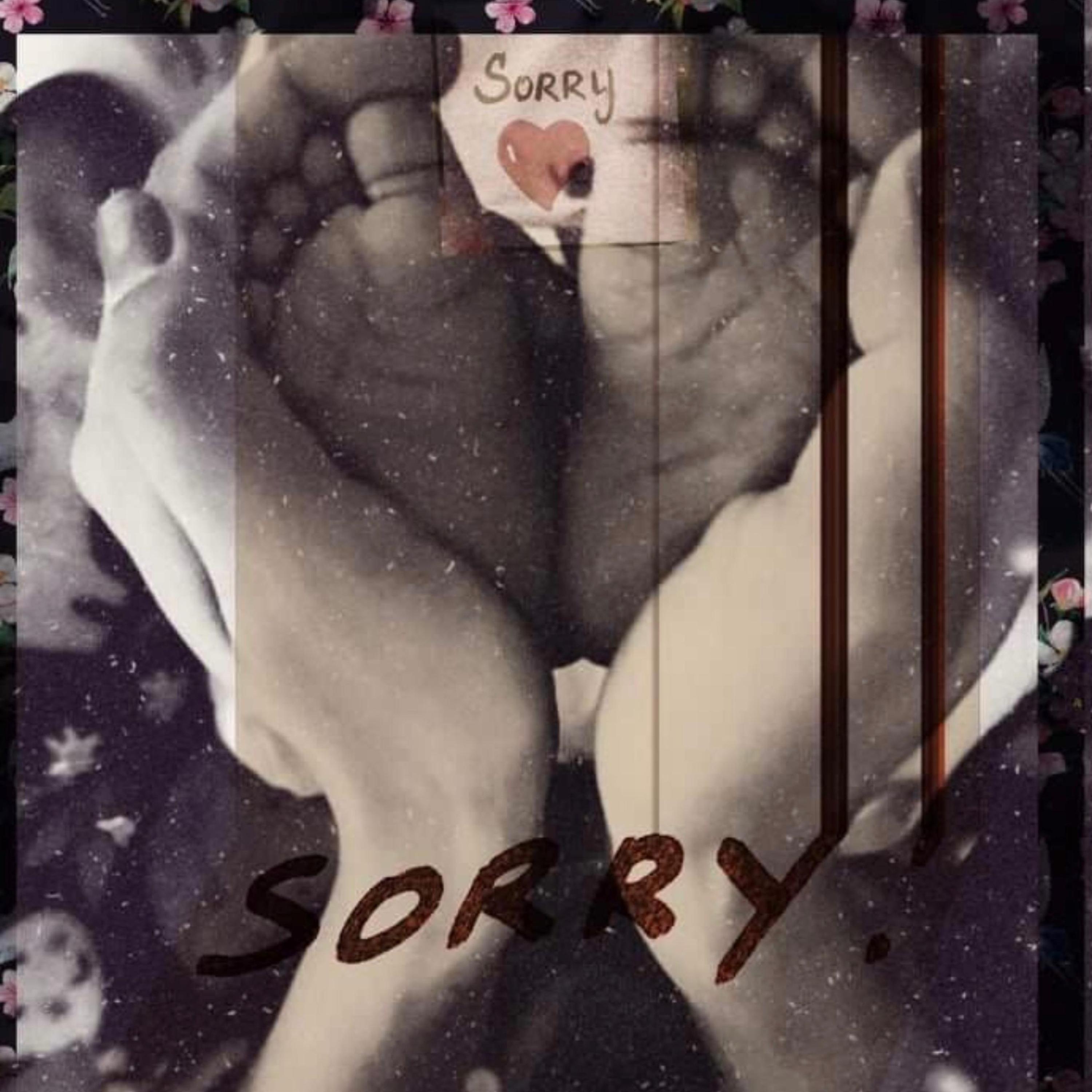 SORRY artwork