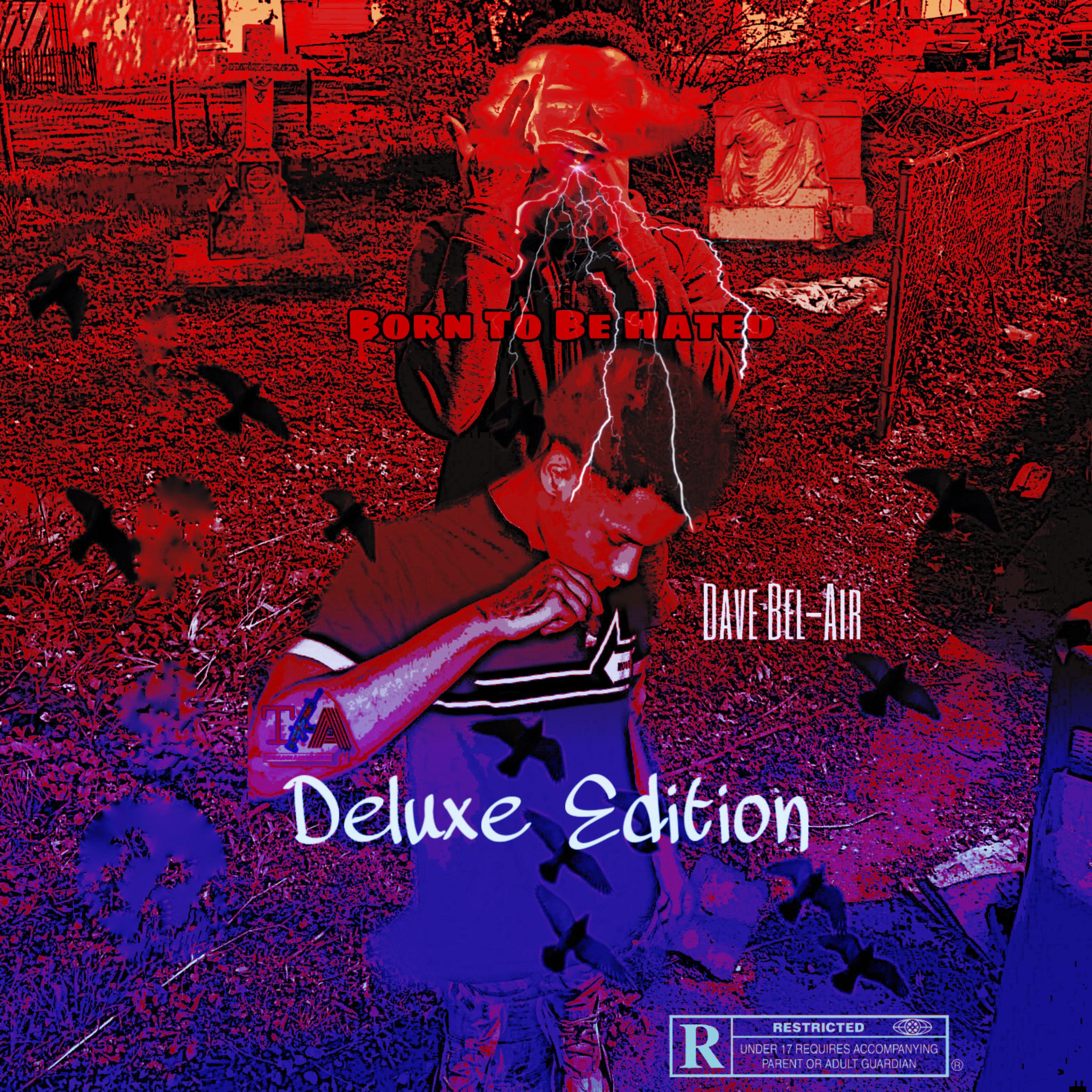 Born To Be Hated artwork