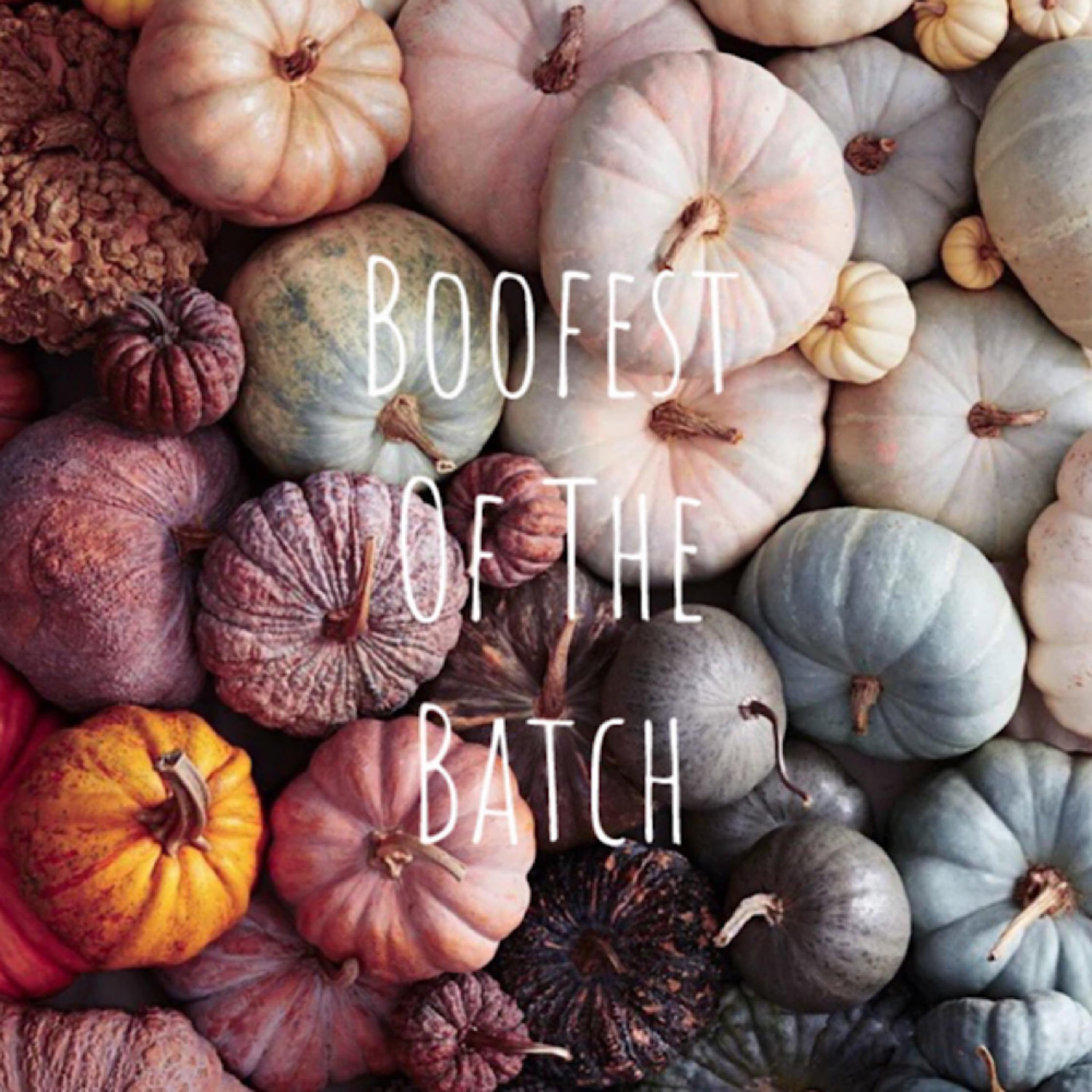 Boofest Of The Batch artwork