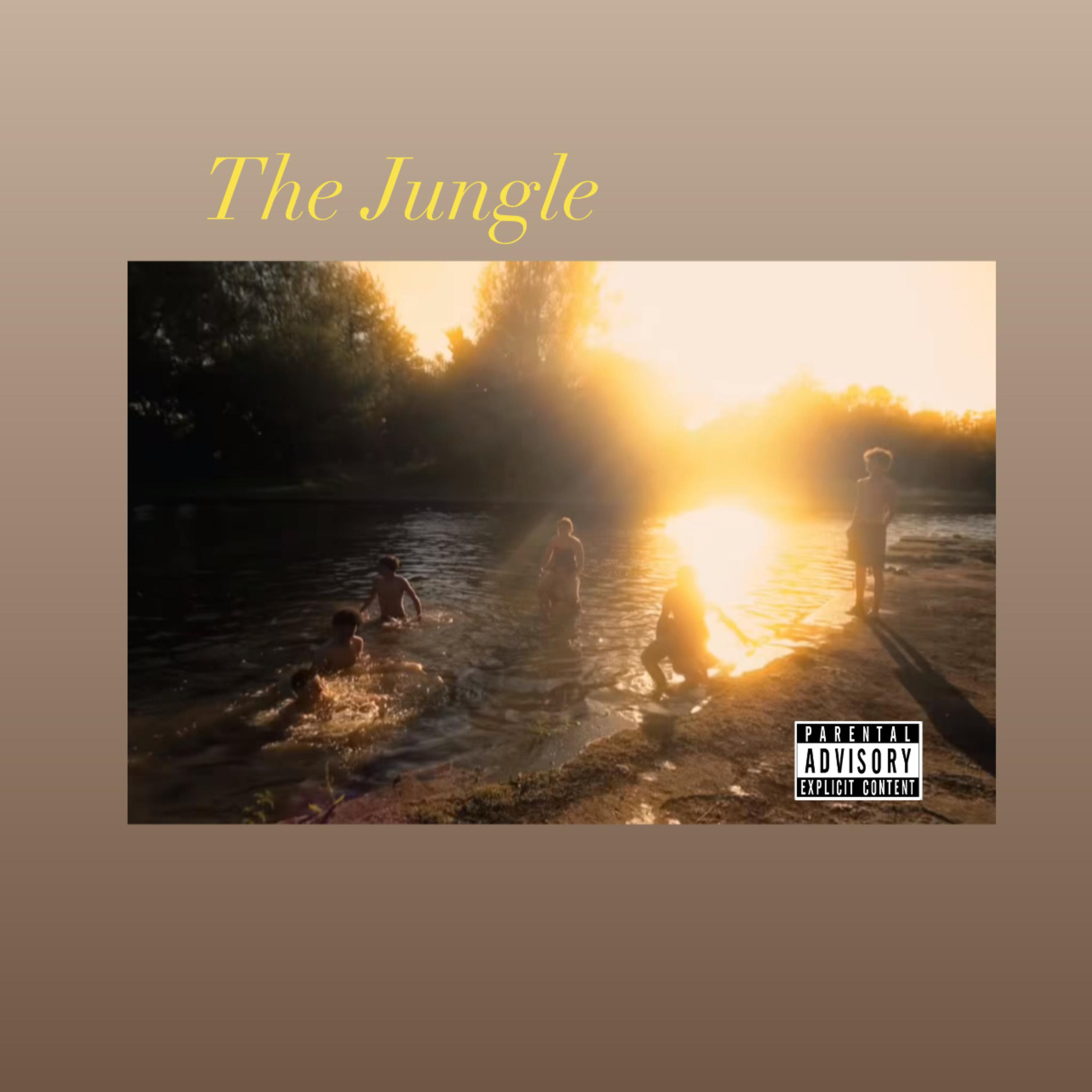 The Jungle artwork
