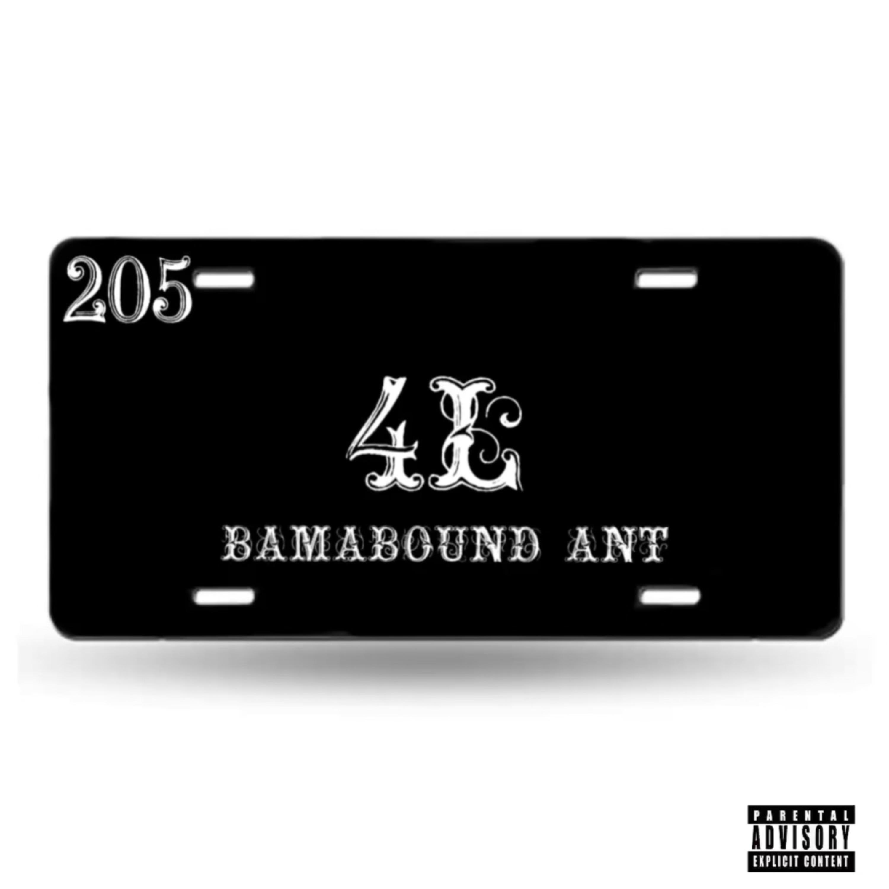 4L artwork