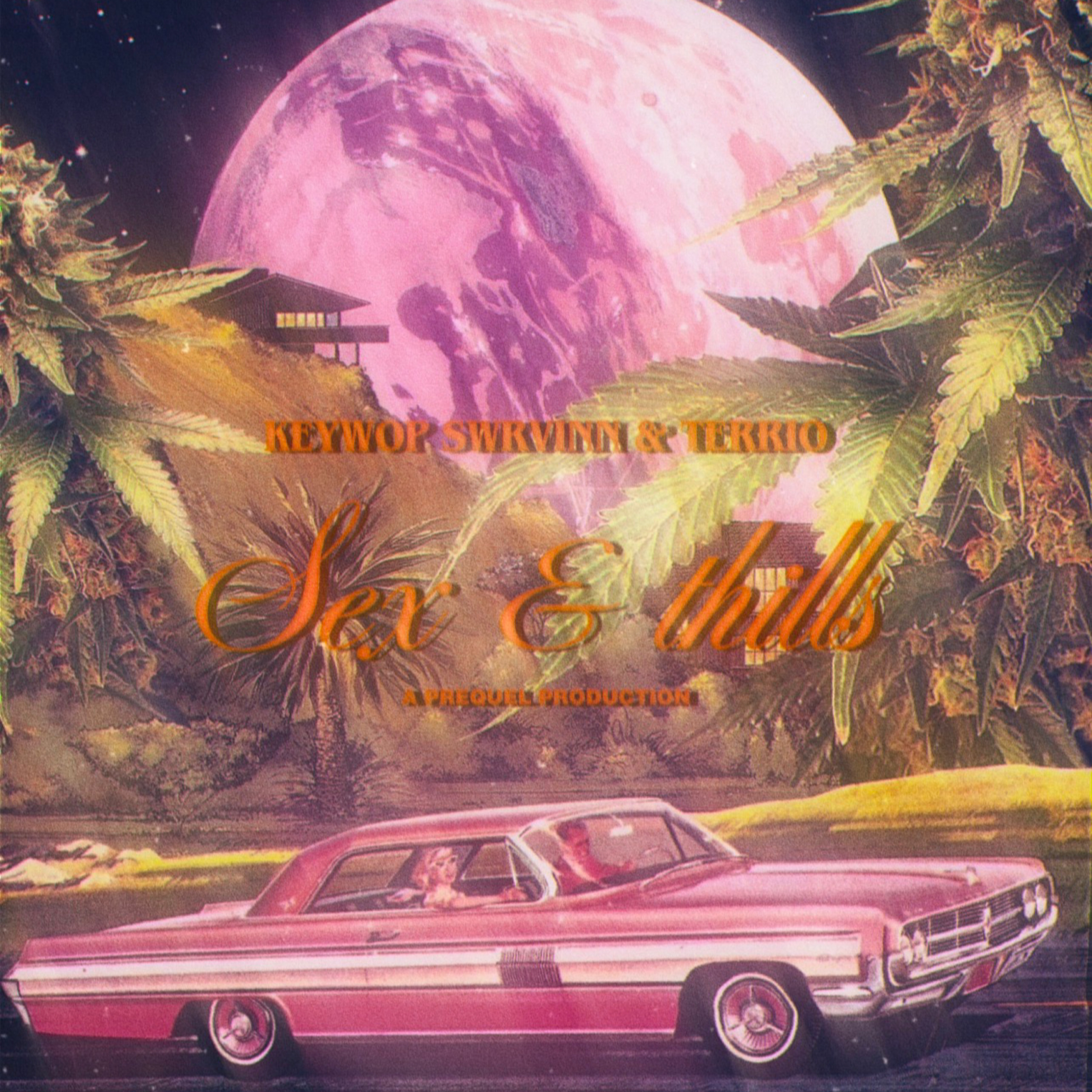 SEX & THRILLS artwork