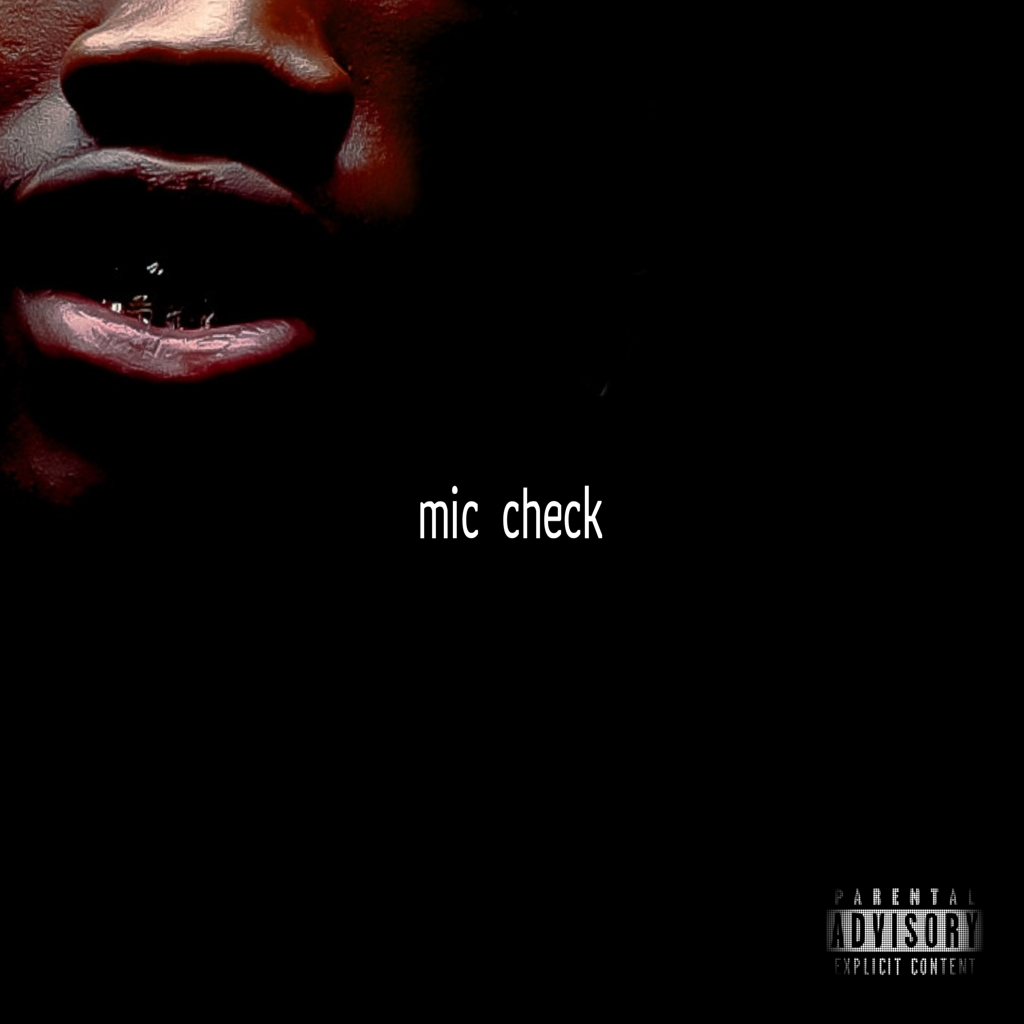 MIC CHECK artwork