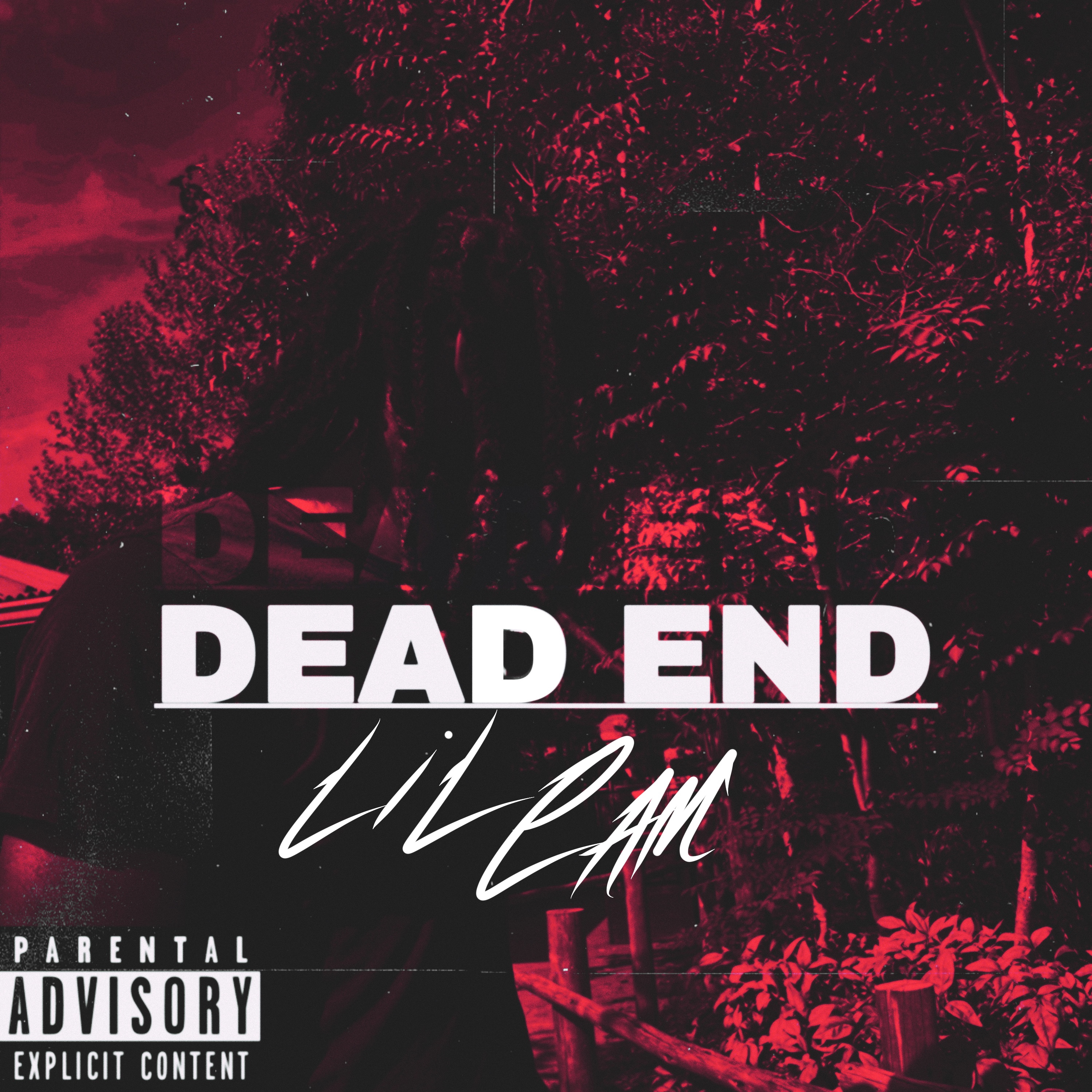 Dead End artwork