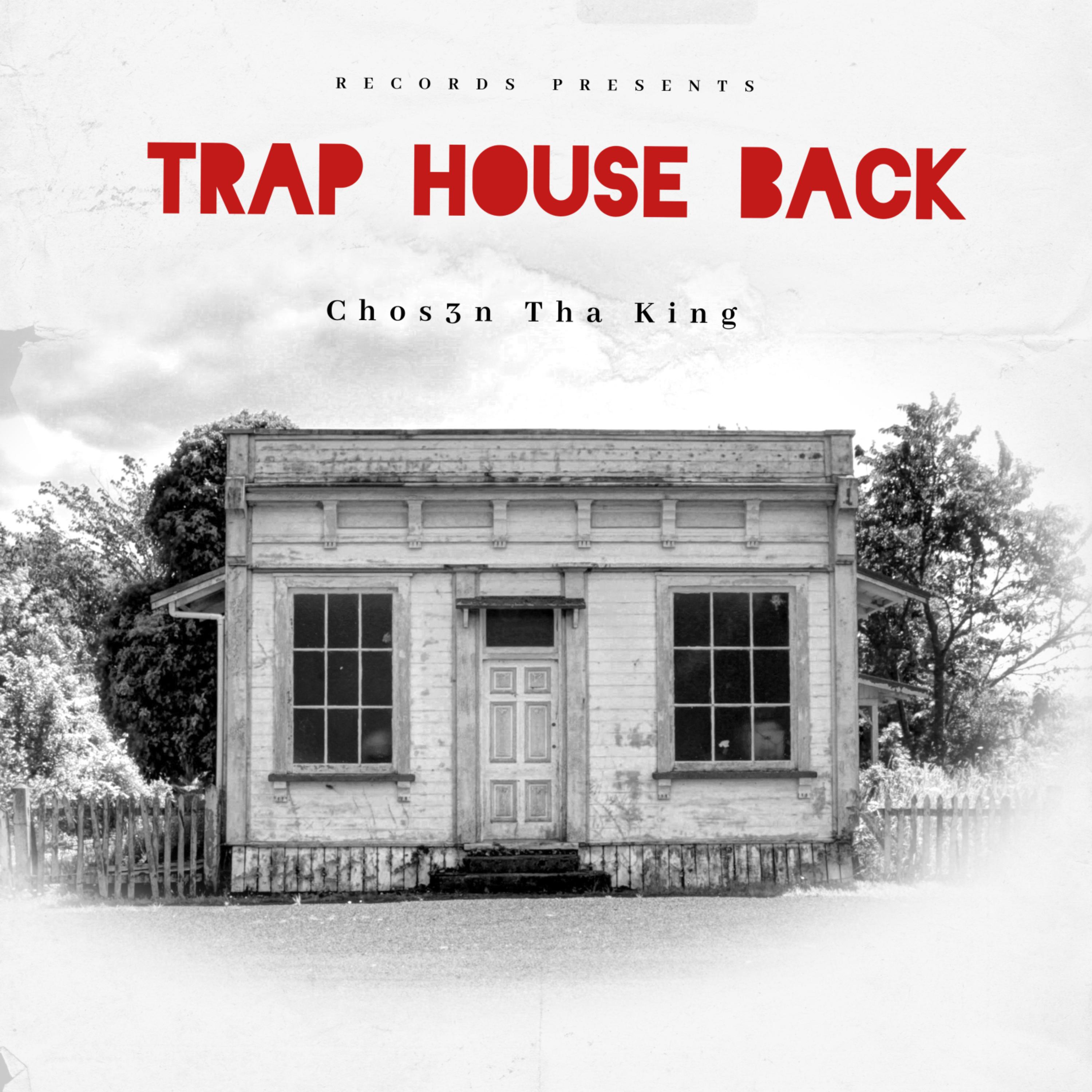 Trap House Back artwork