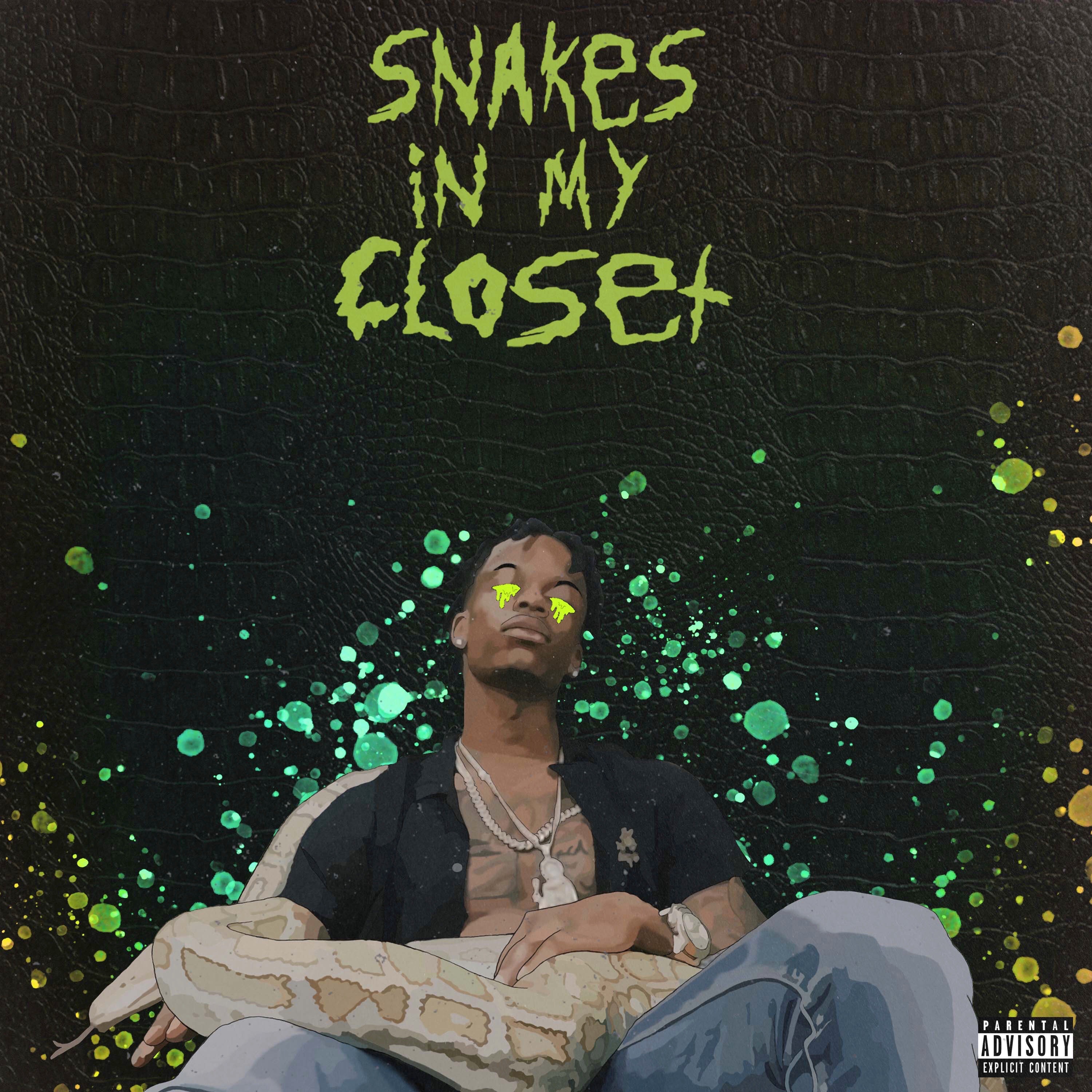 Snakes In My Closet artwork