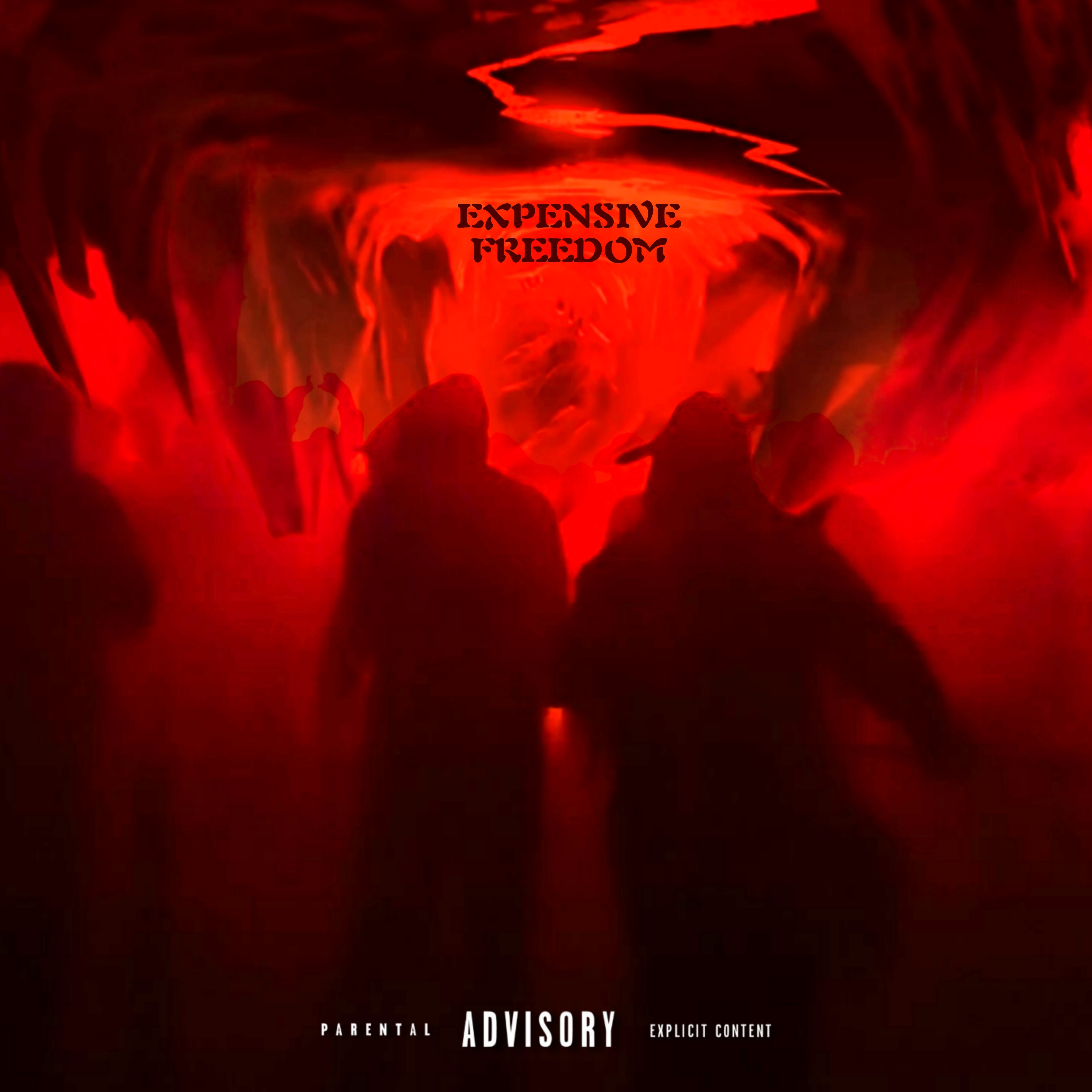 Expensive Freedom artwork