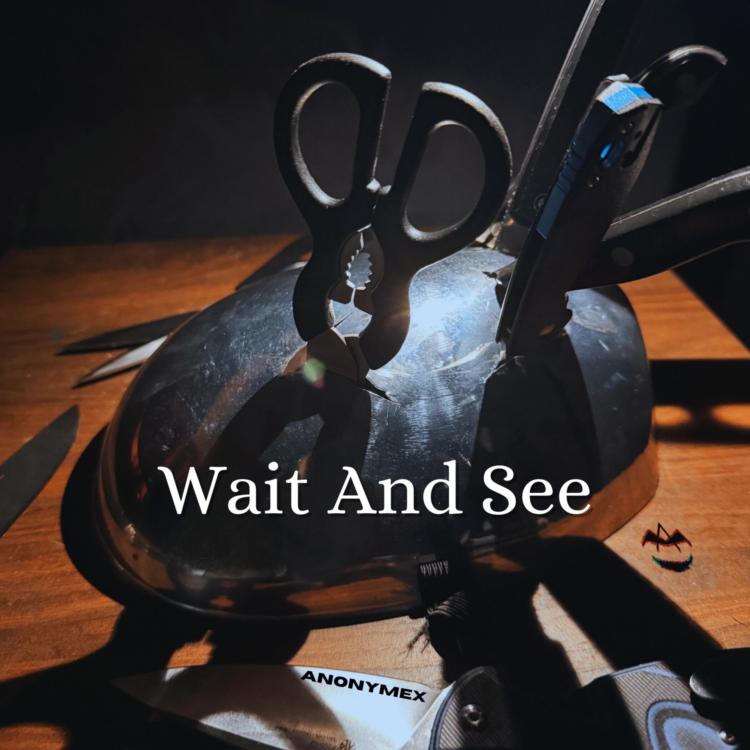 Wait And See artwork
