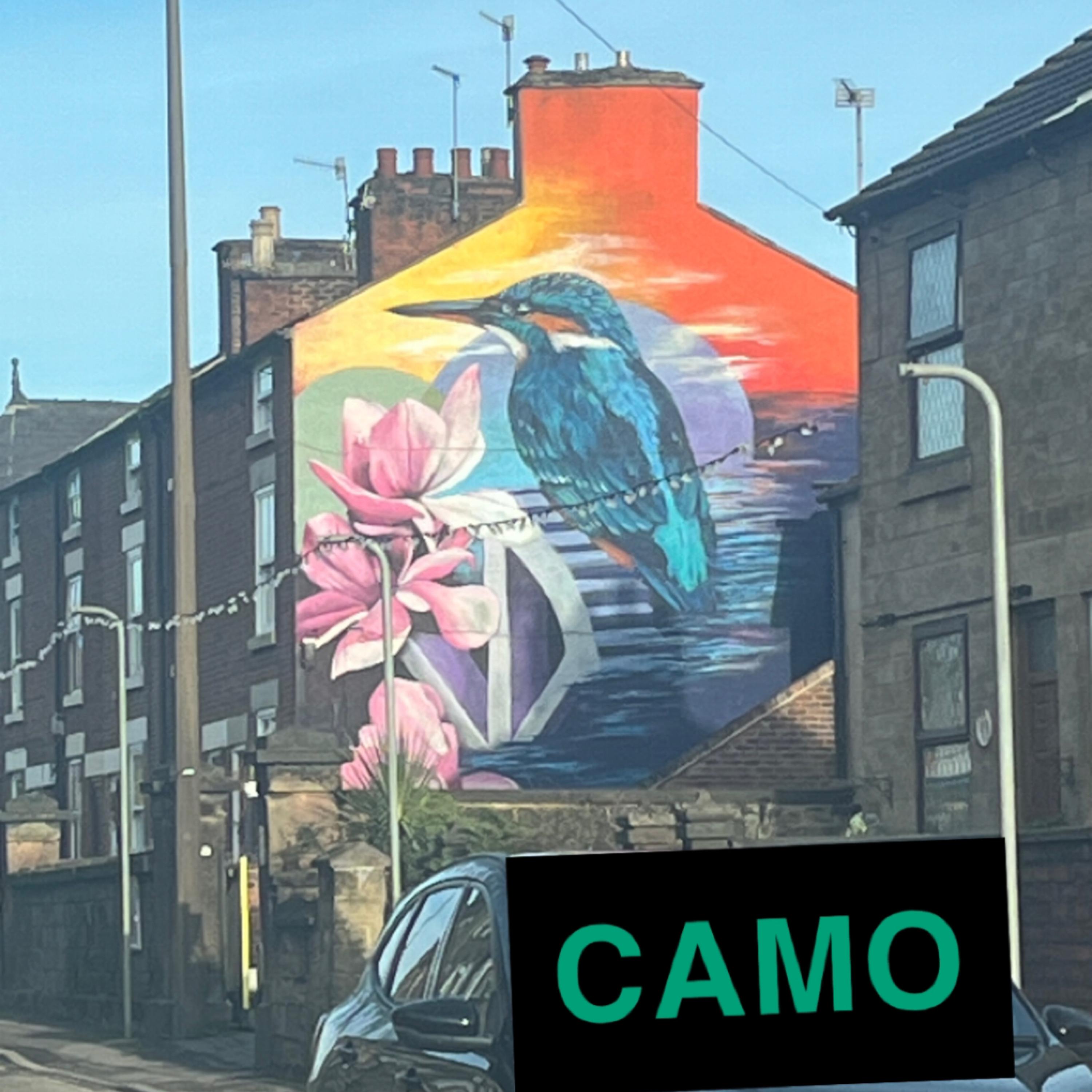 Camo artwork