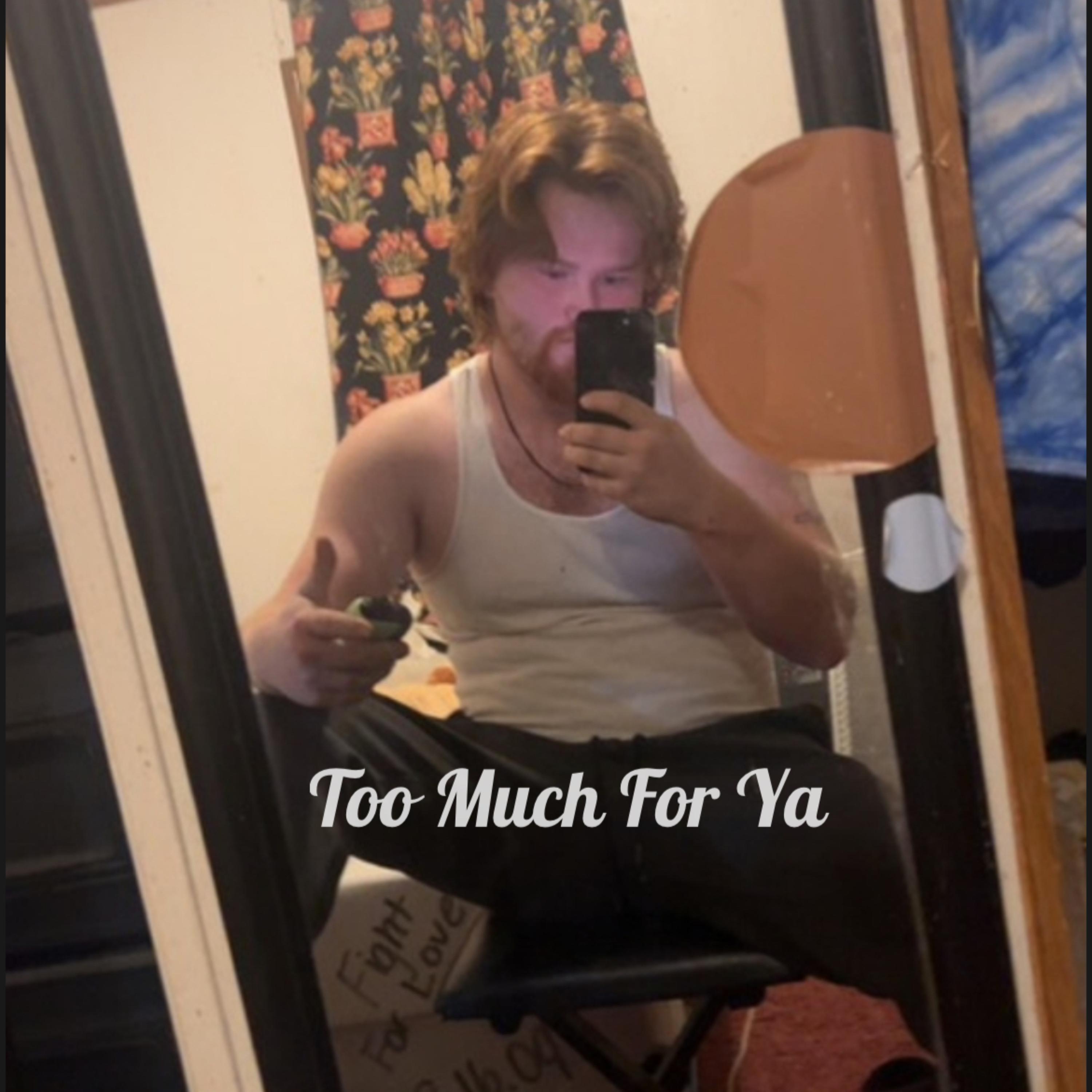 Too Much For Ya artwork