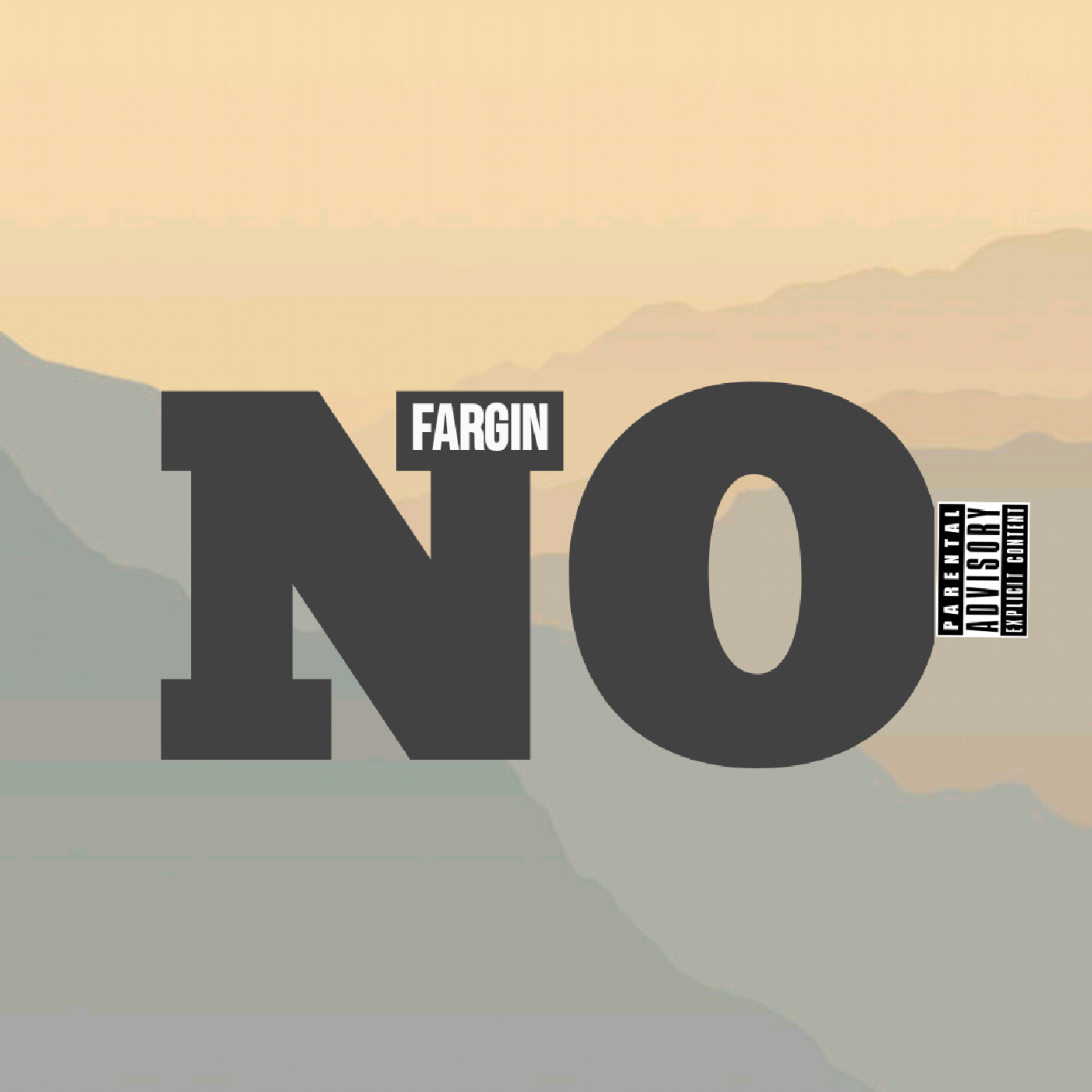 NO artwork