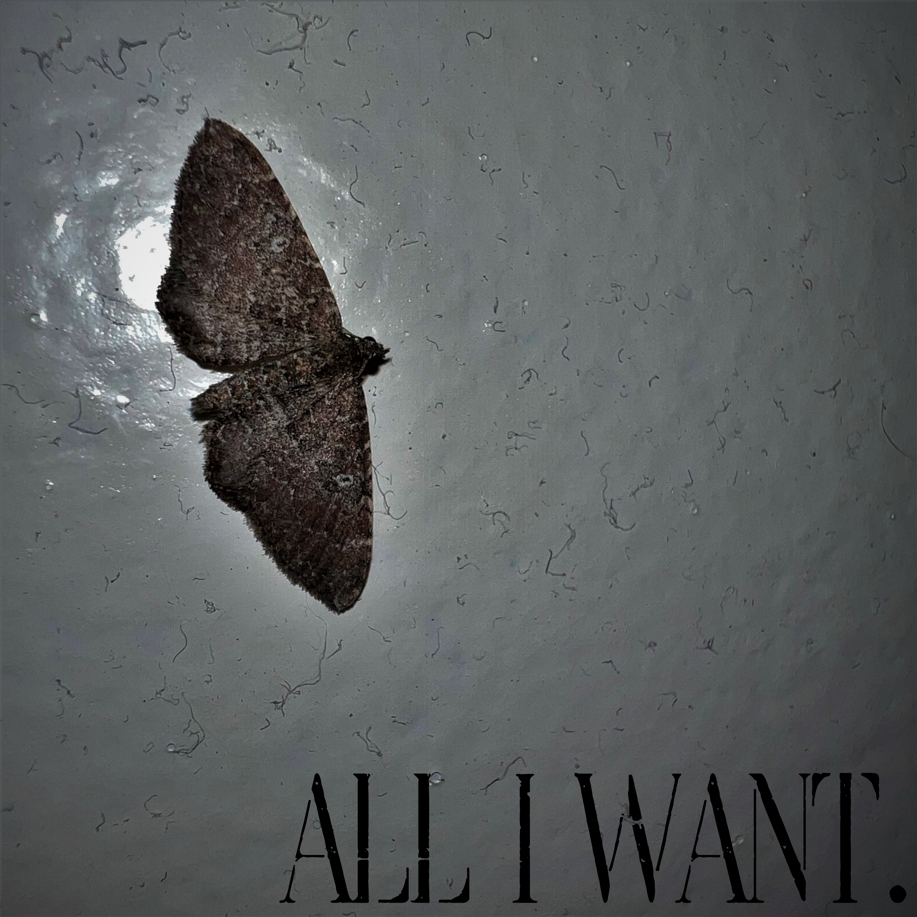 All I Want by CAUS cover art