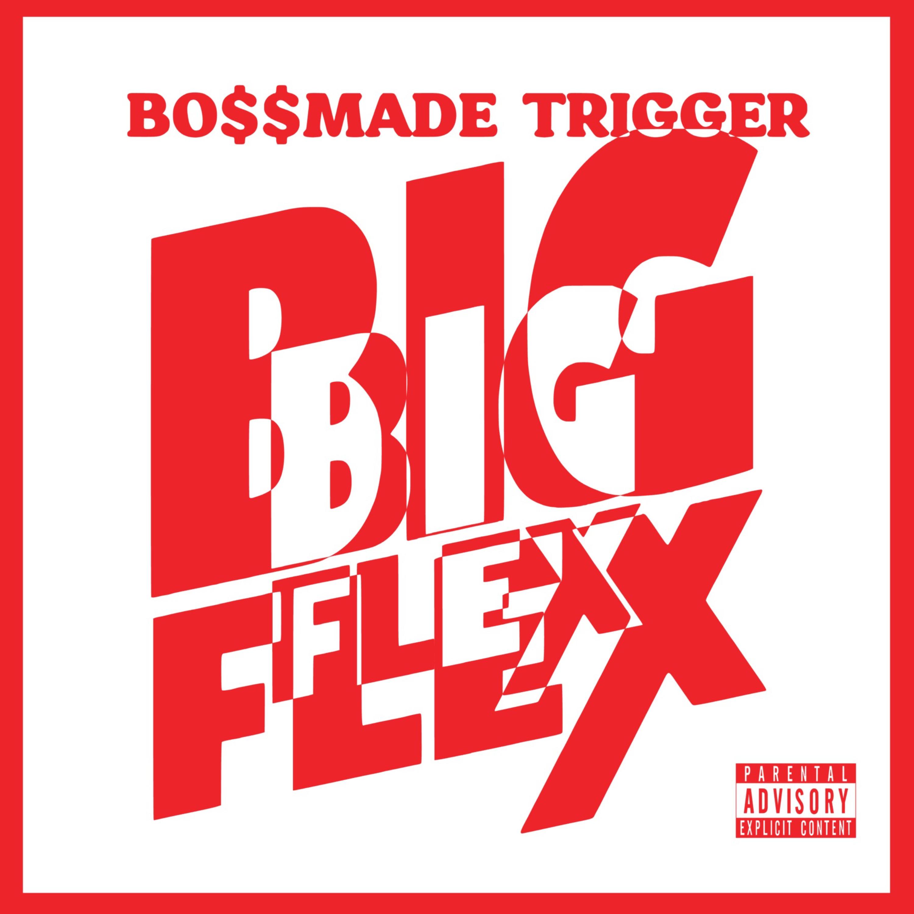 Big Flex (Clean Version) by BO$$MADE TRIGGER cover art