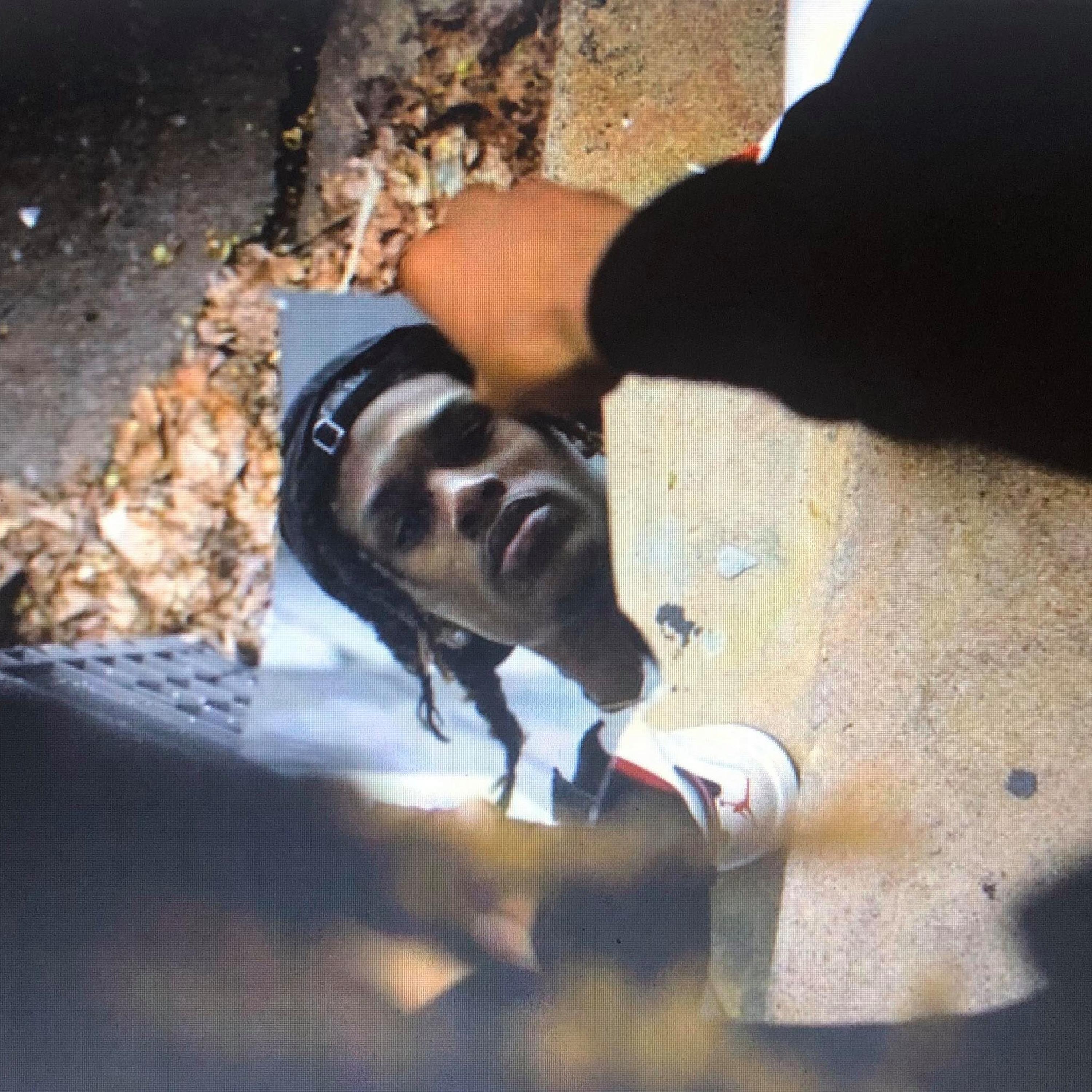 Day Ones Freestyle artwork