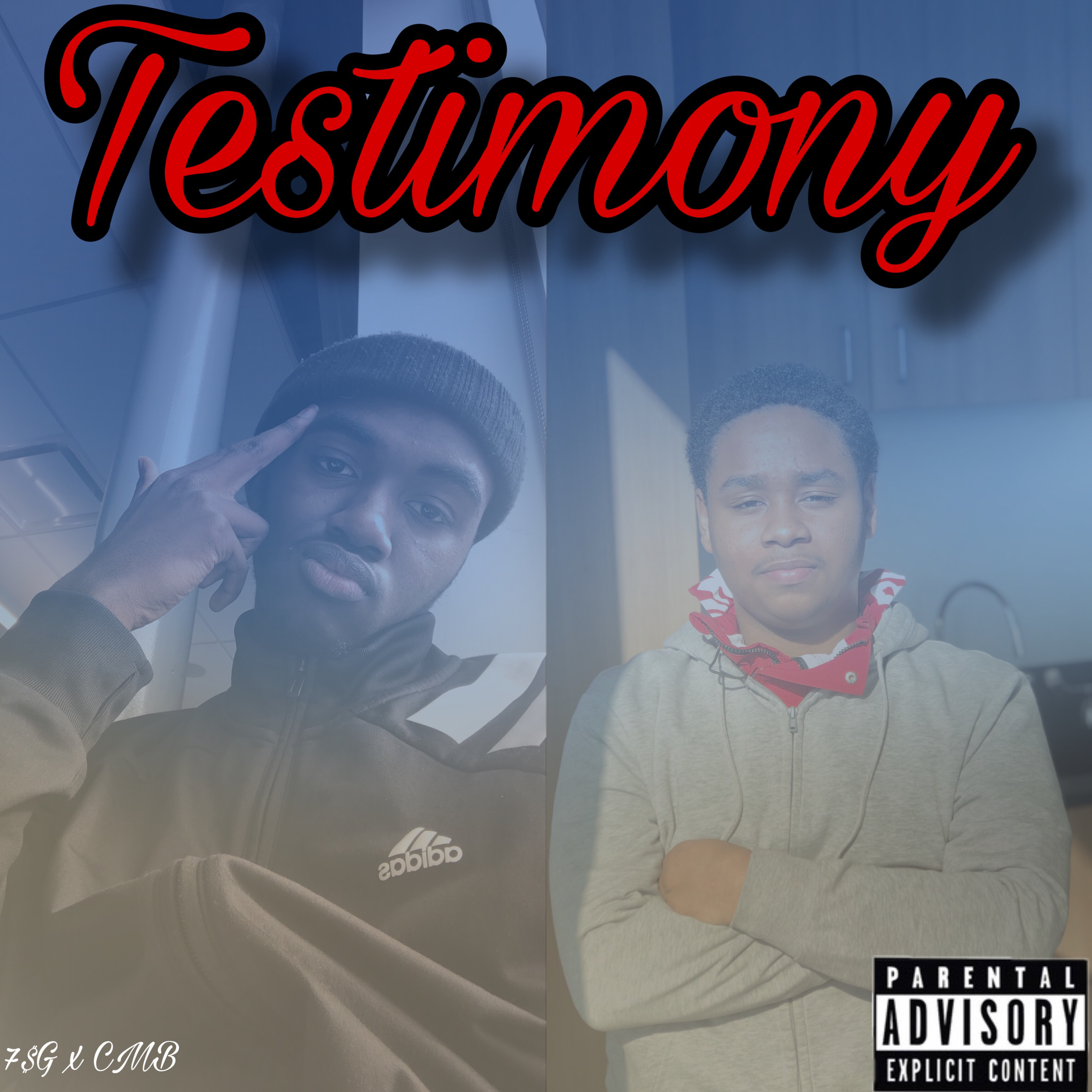 Testimony artwork