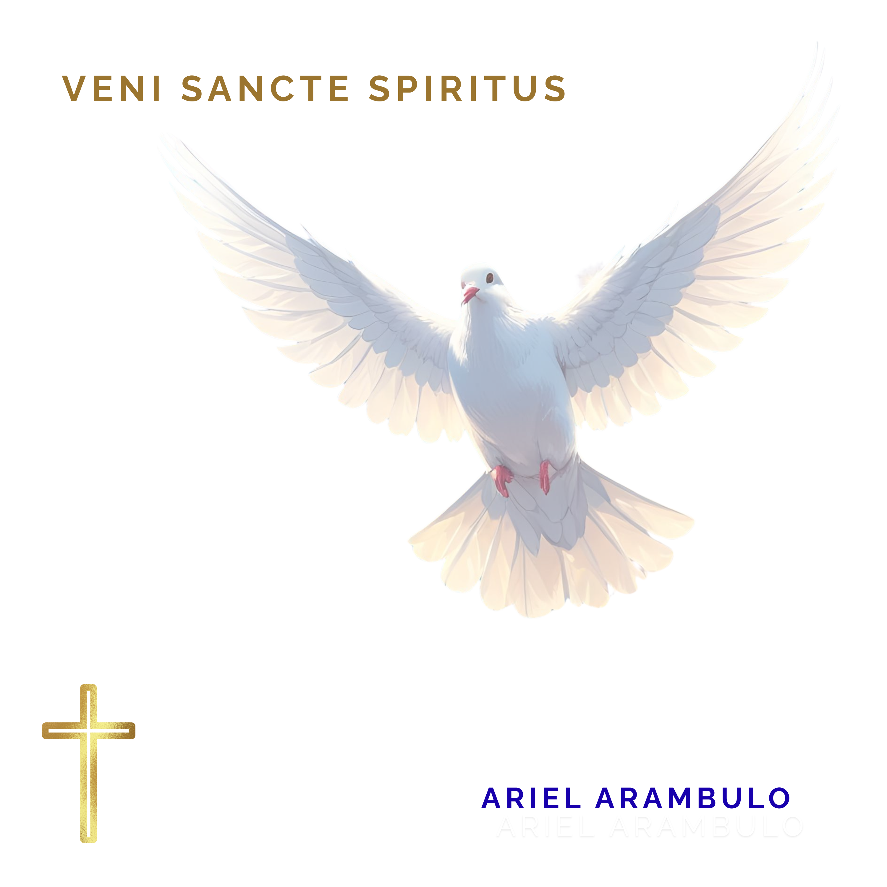 VENI SANCTE SPIRITUS artwork